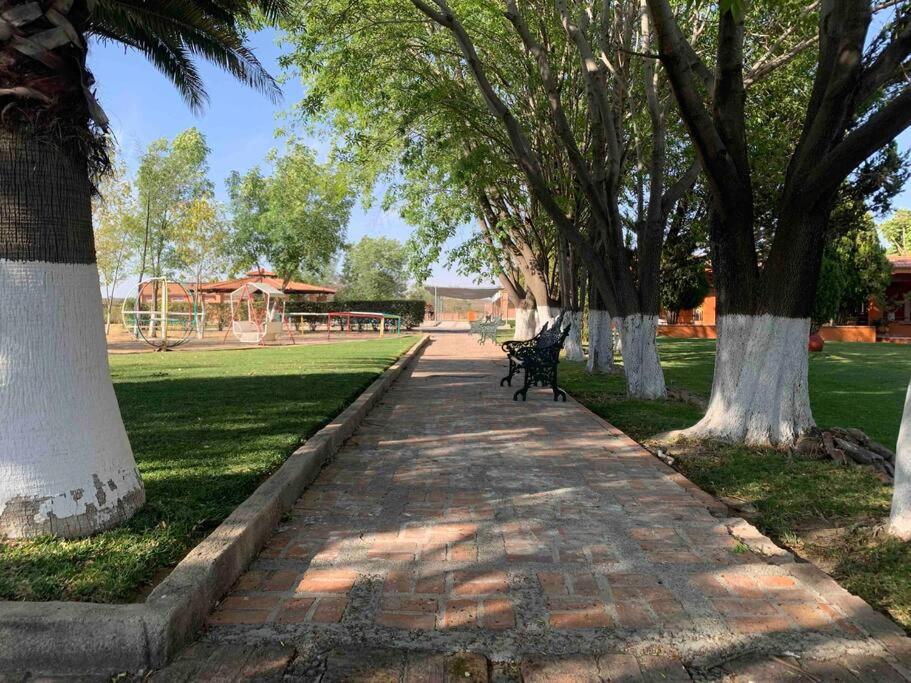 Photo 19