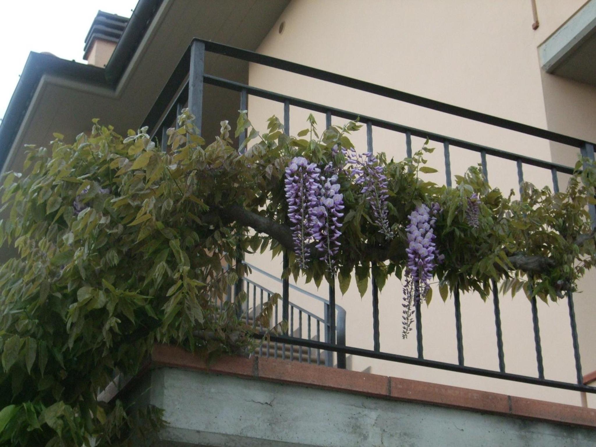 Photo 45