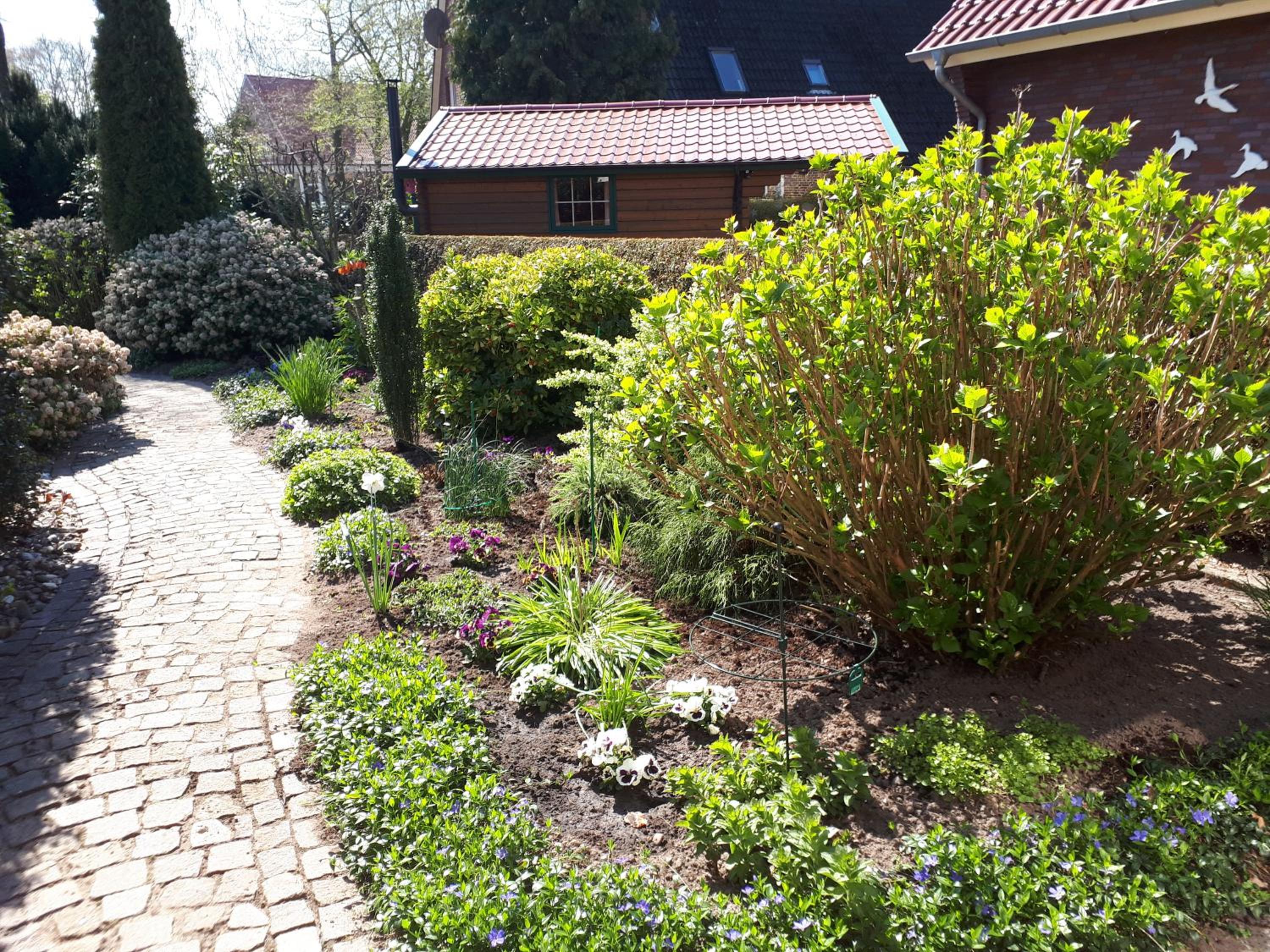 Photo 21