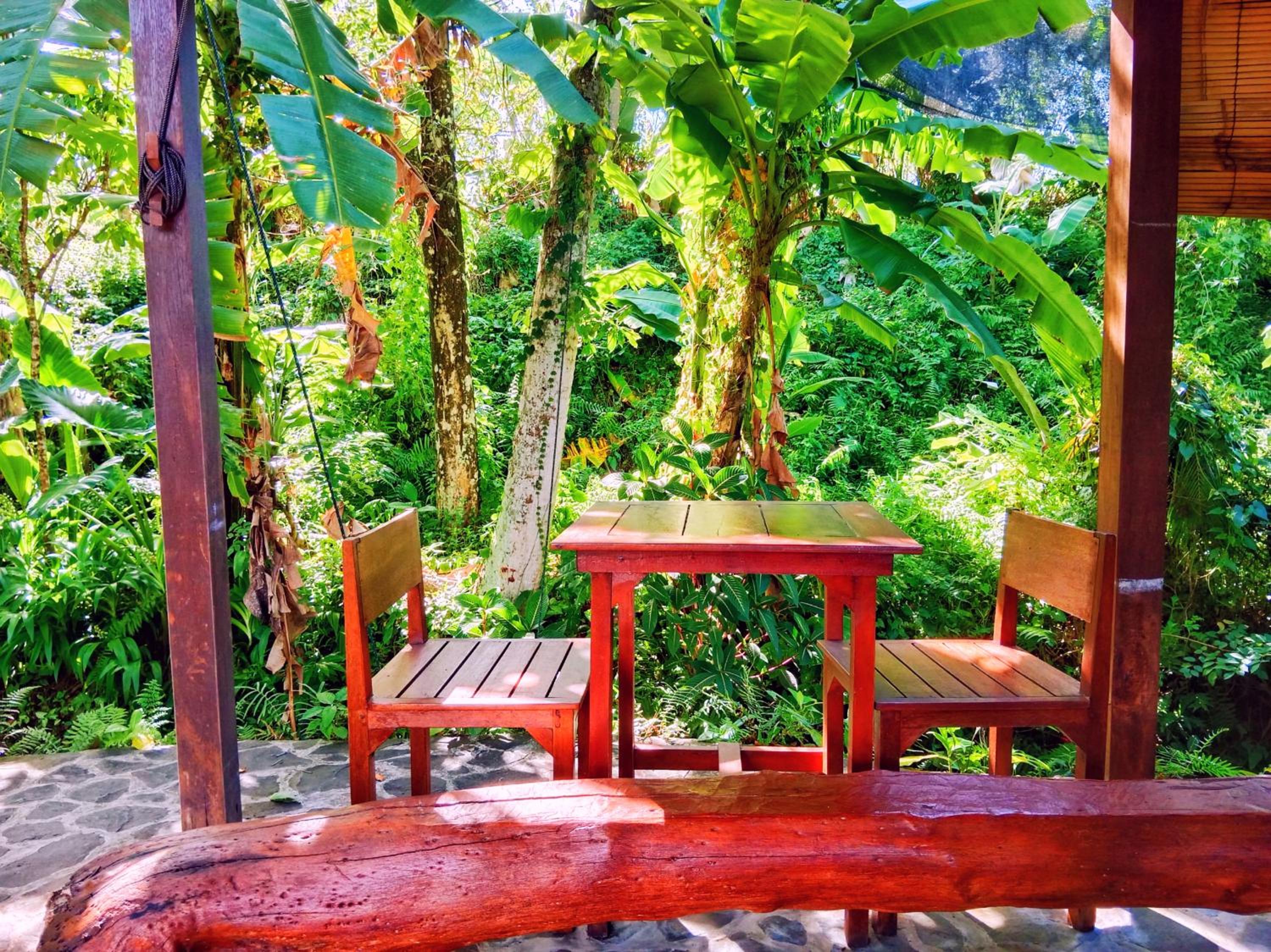 Dreamy Eco Tree House by 7 Waterfalls view 4