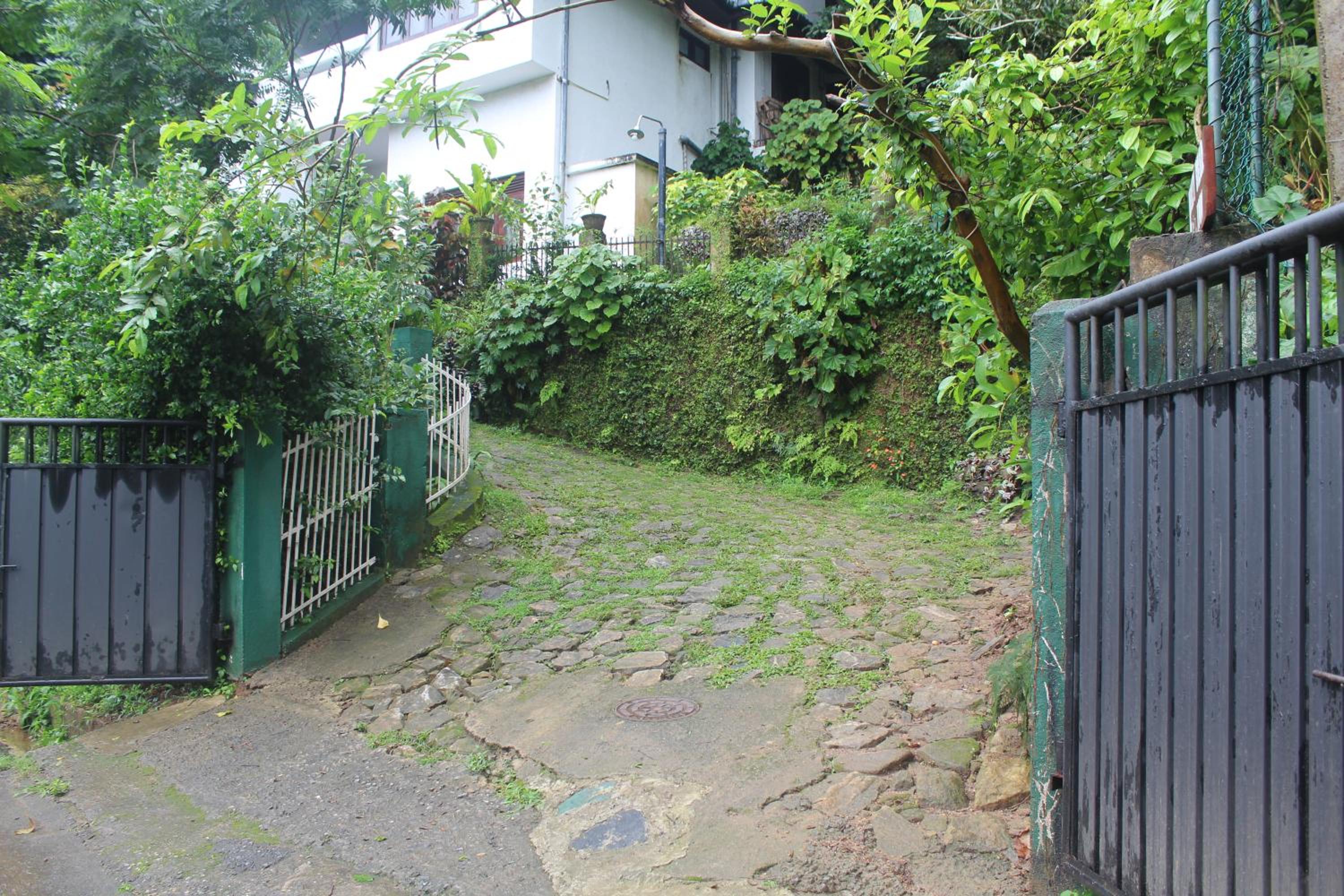 Photo 38