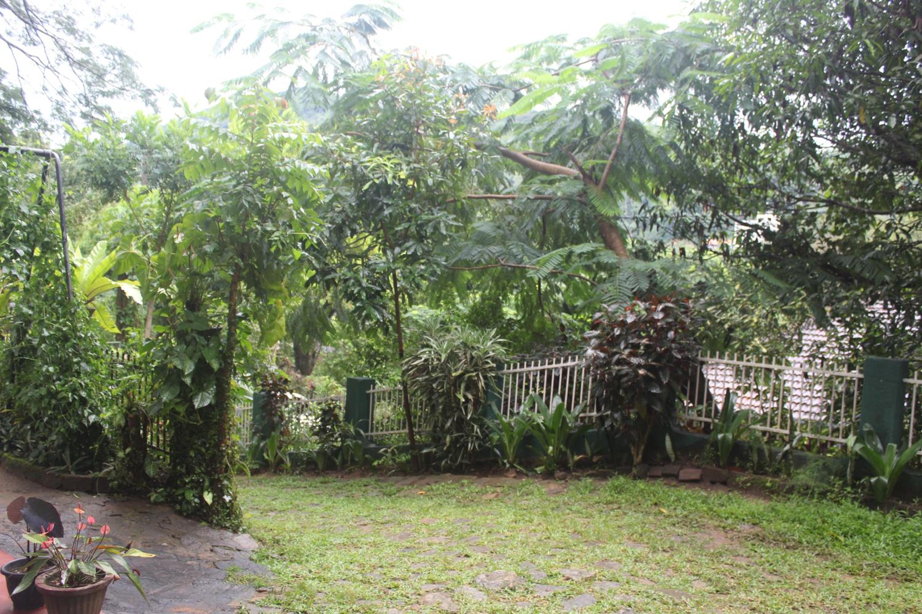 Photo 39