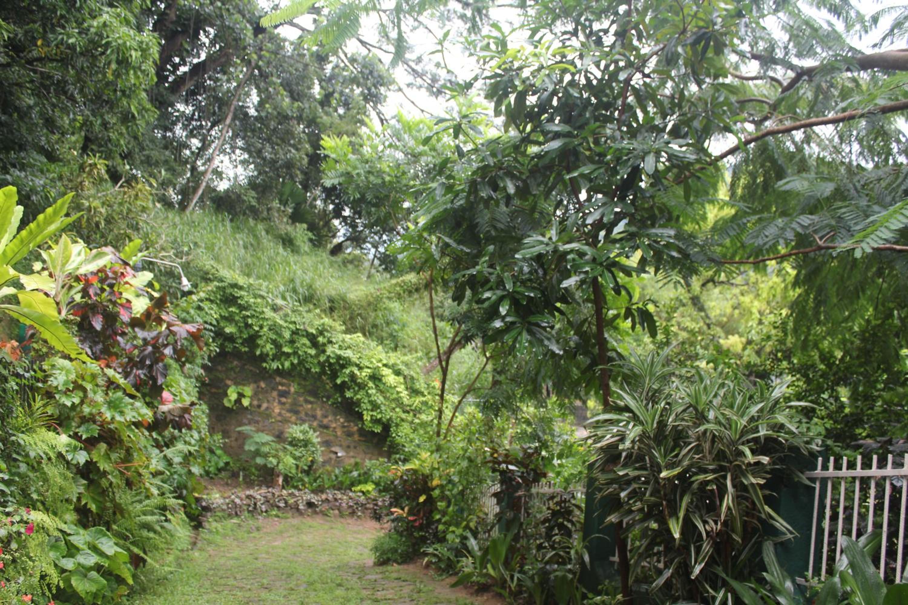 Photo 40