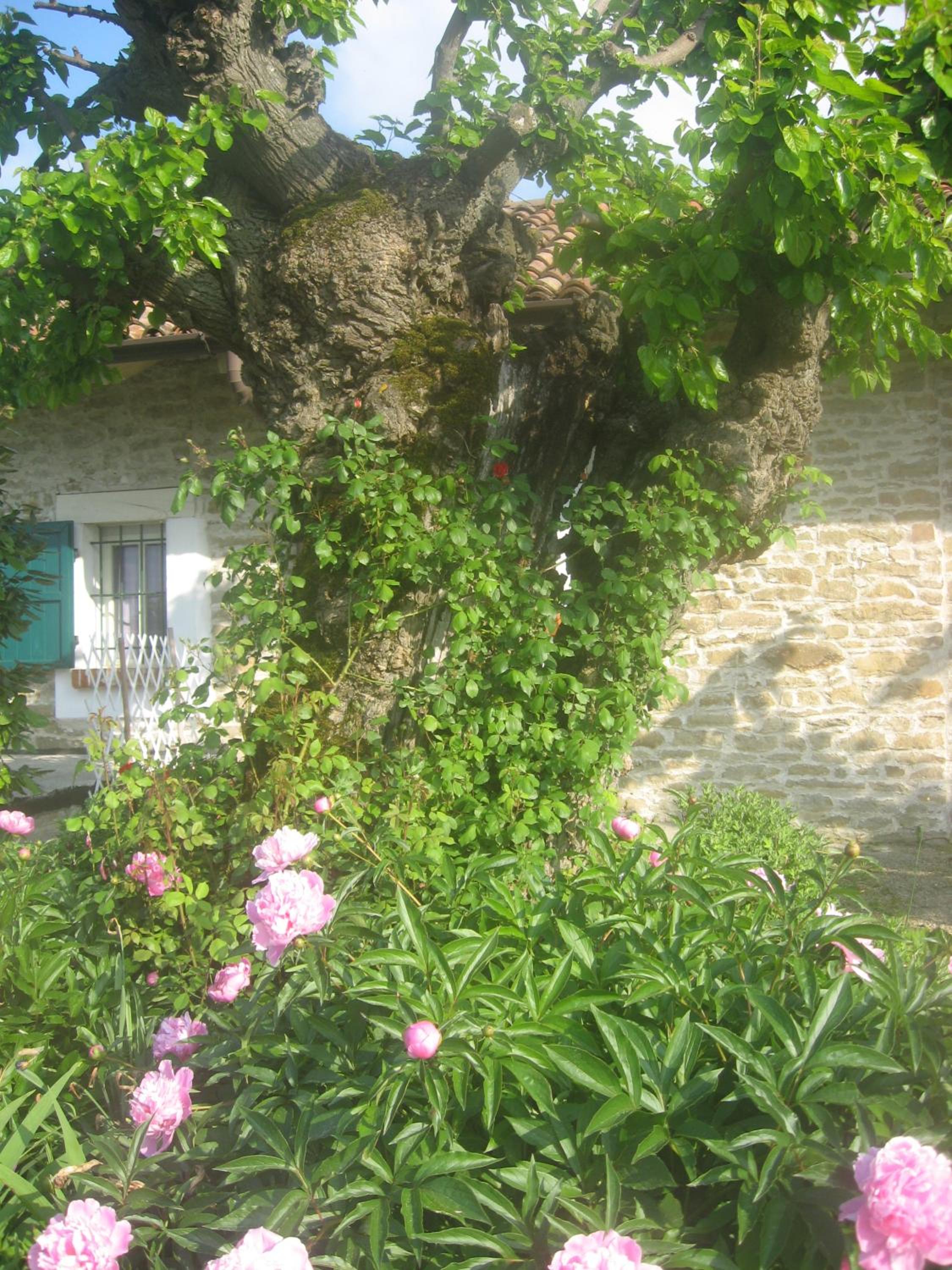 Agriturismo Cascina Serra