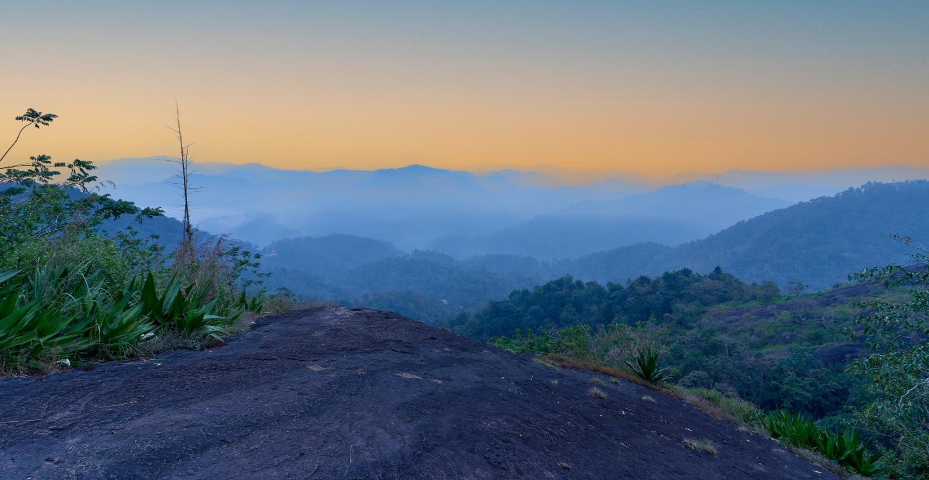 Munnar Vacations - Haze and Kites Resort Munnar - Property Image 102