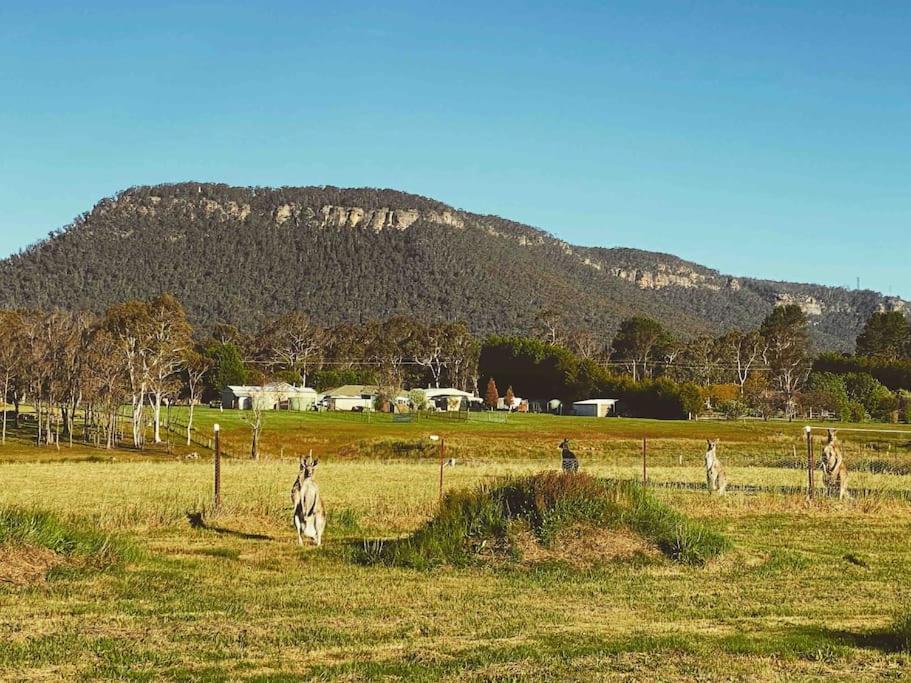 The York Residence in Hartley NSW - Newly Listed