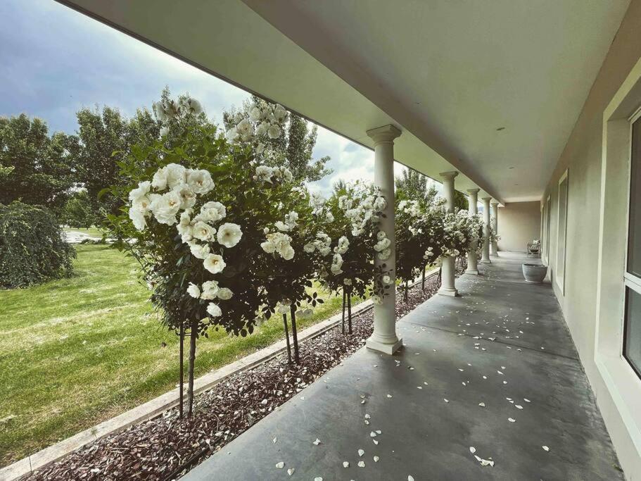 The York Residence in Hartley NSW - Newly Listed