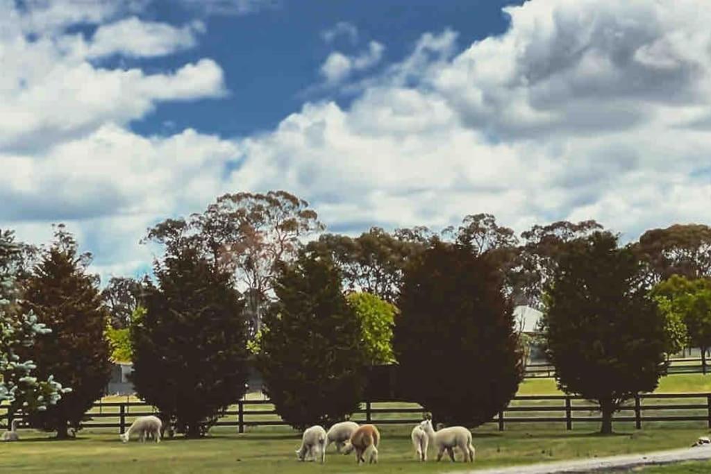 The York Residence in Hartley NSW - Newly Listed