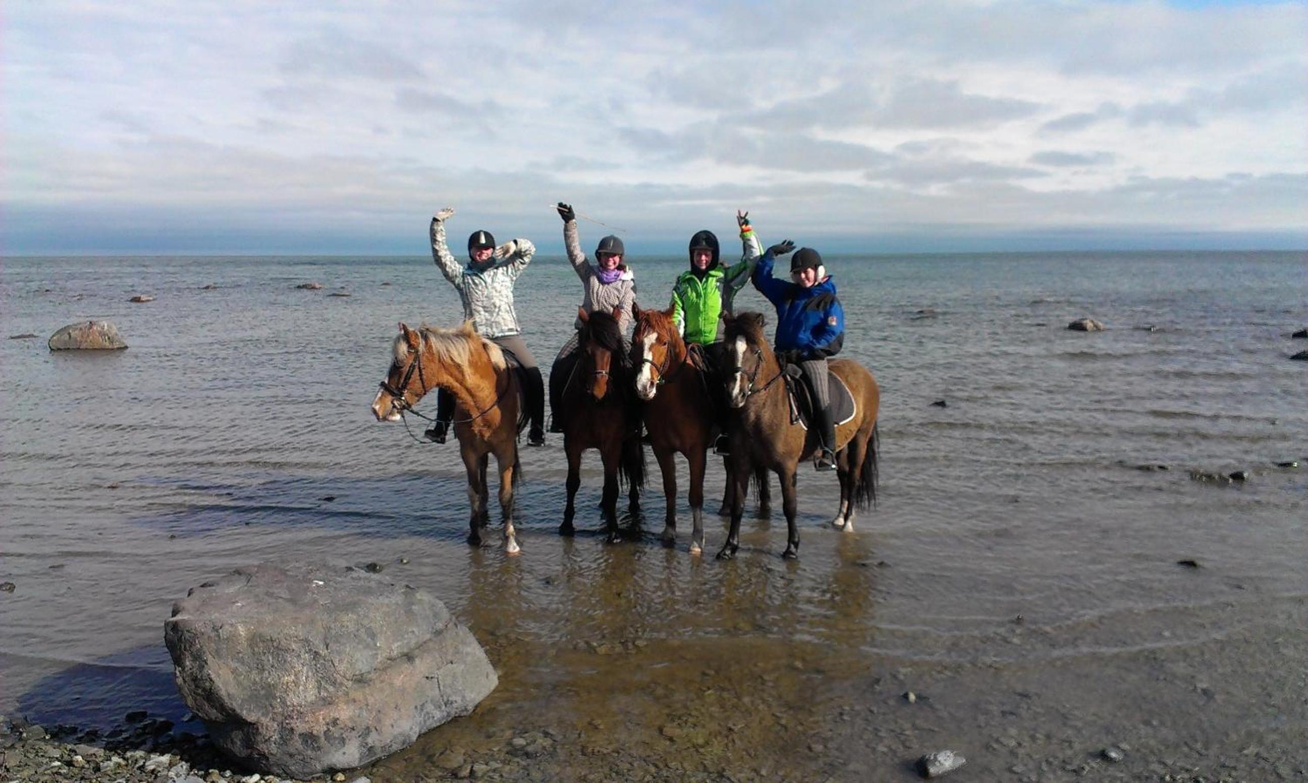 Tihuse Horsefarm B&B