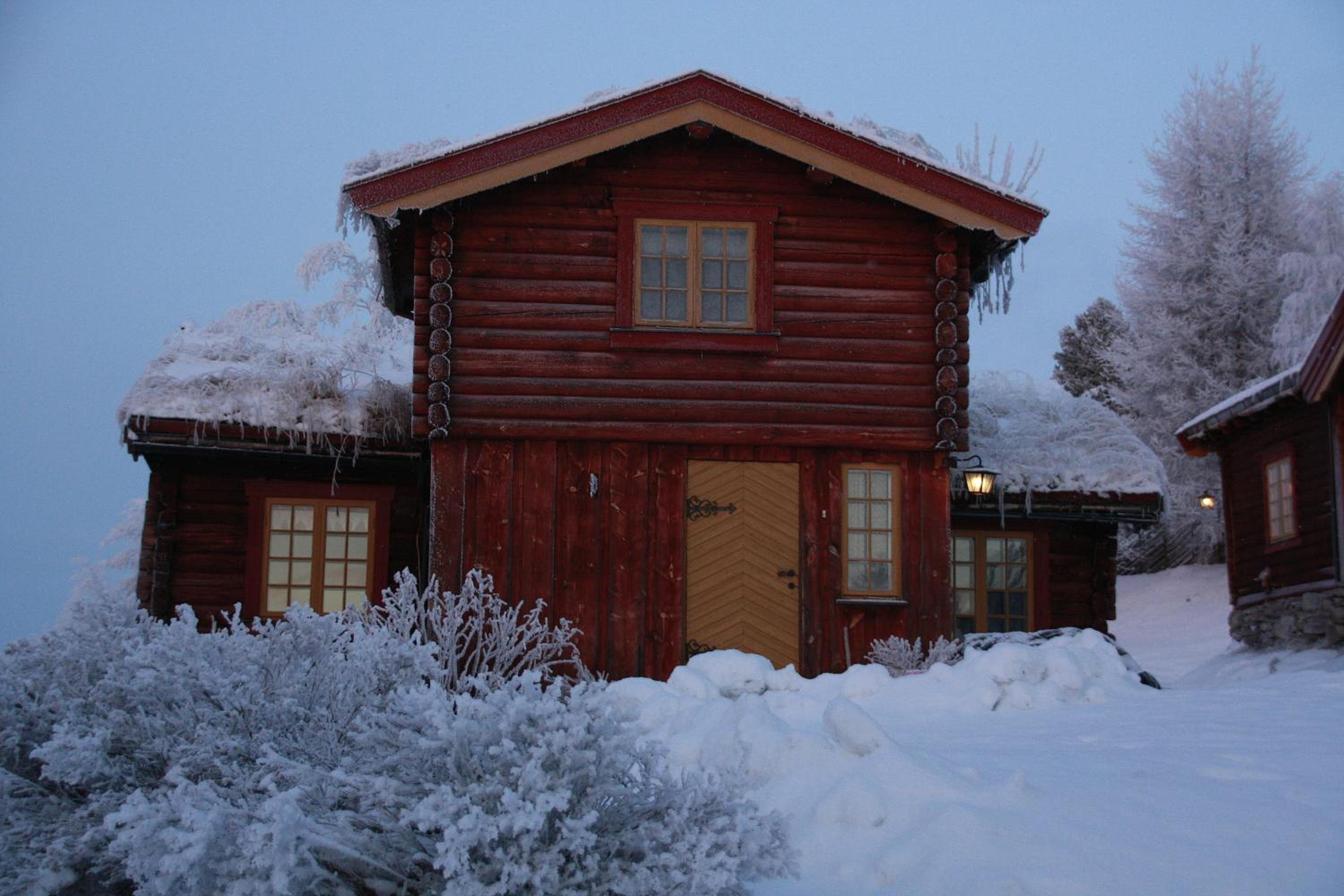 Photo 11