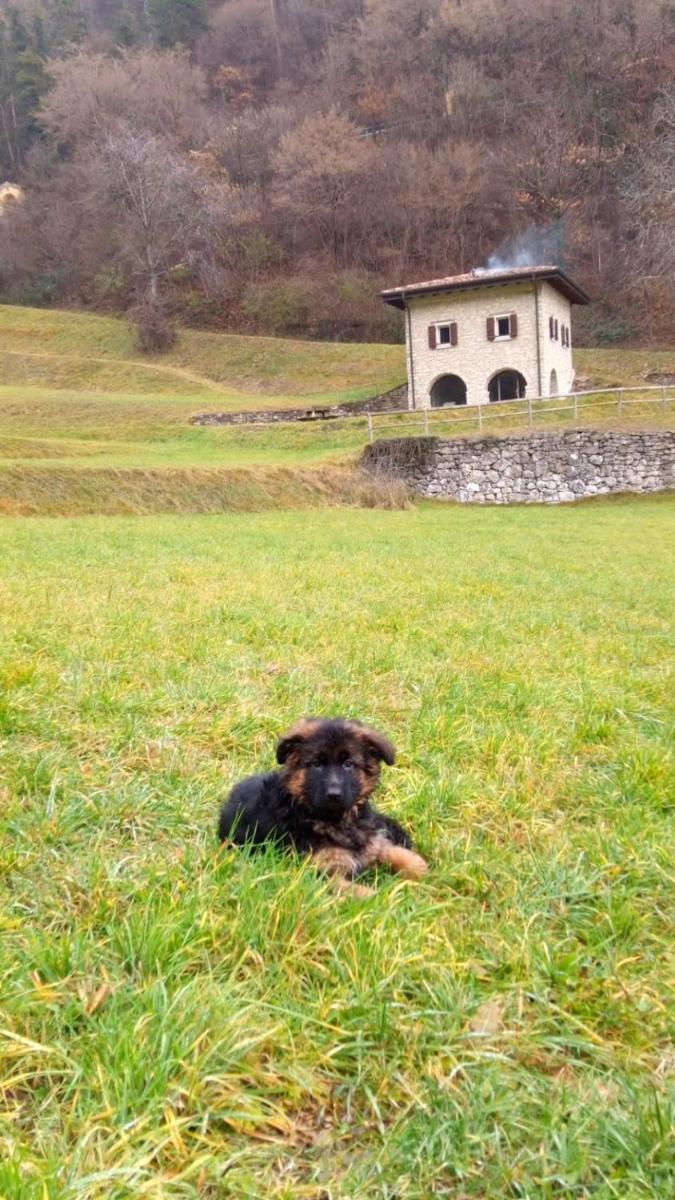 Borgo Paradiso photo 3