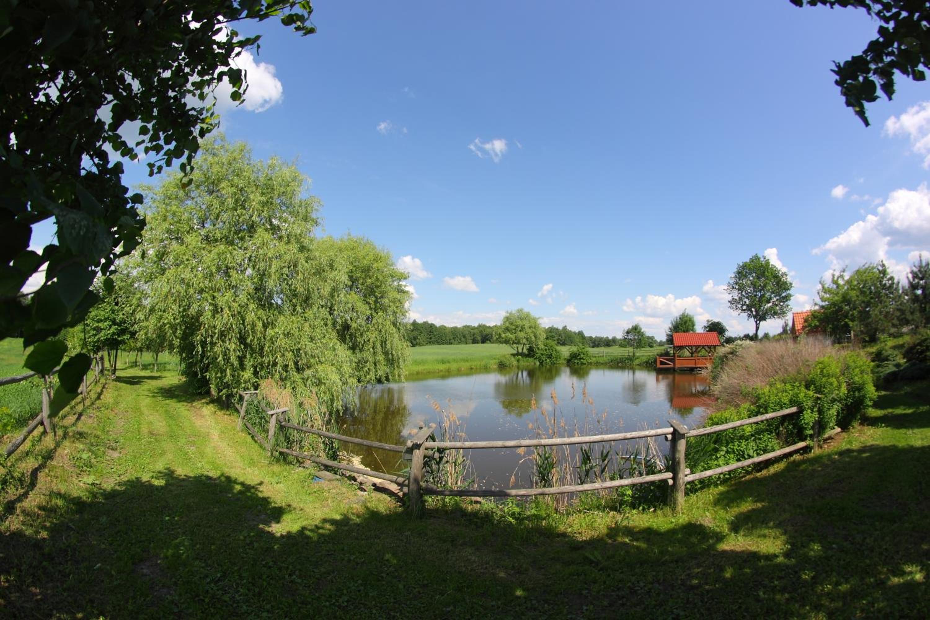 Photo 46