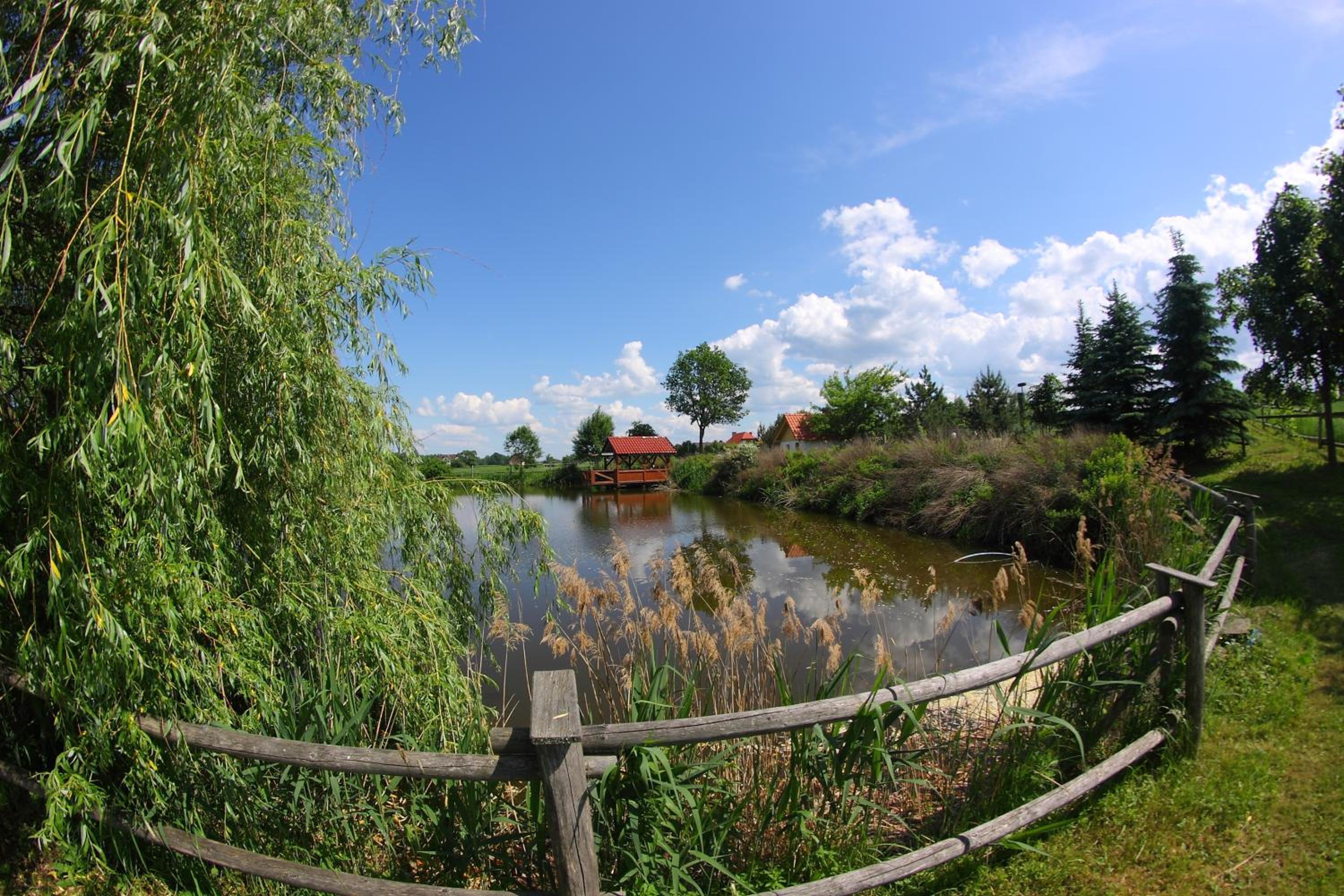 Photo 49