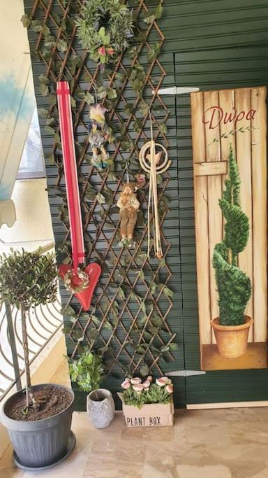 Nafplion quiet ap 15'walk from historical old town photo 3