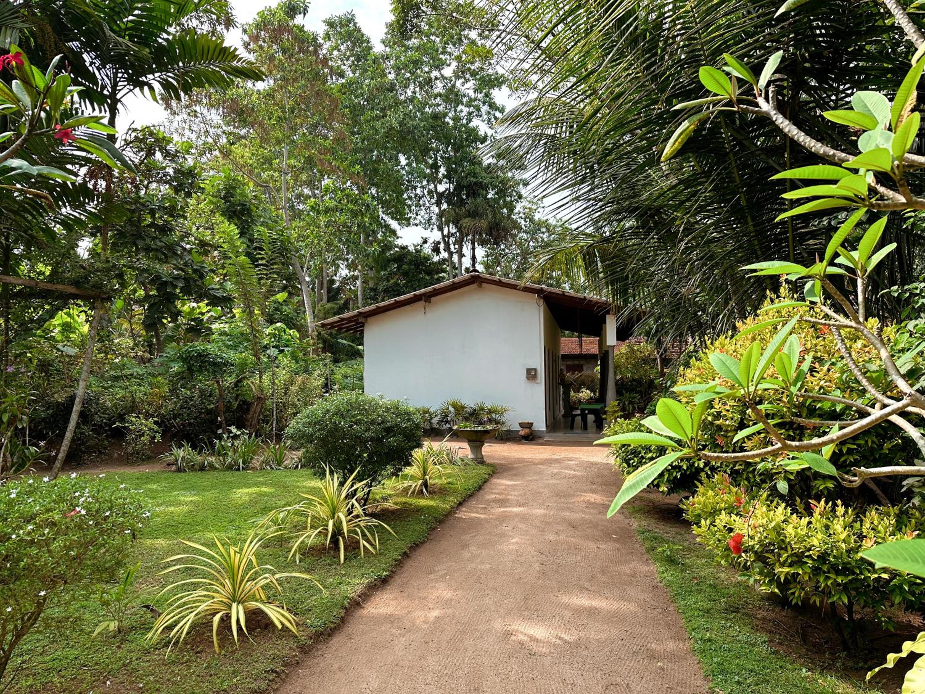 Photo 9