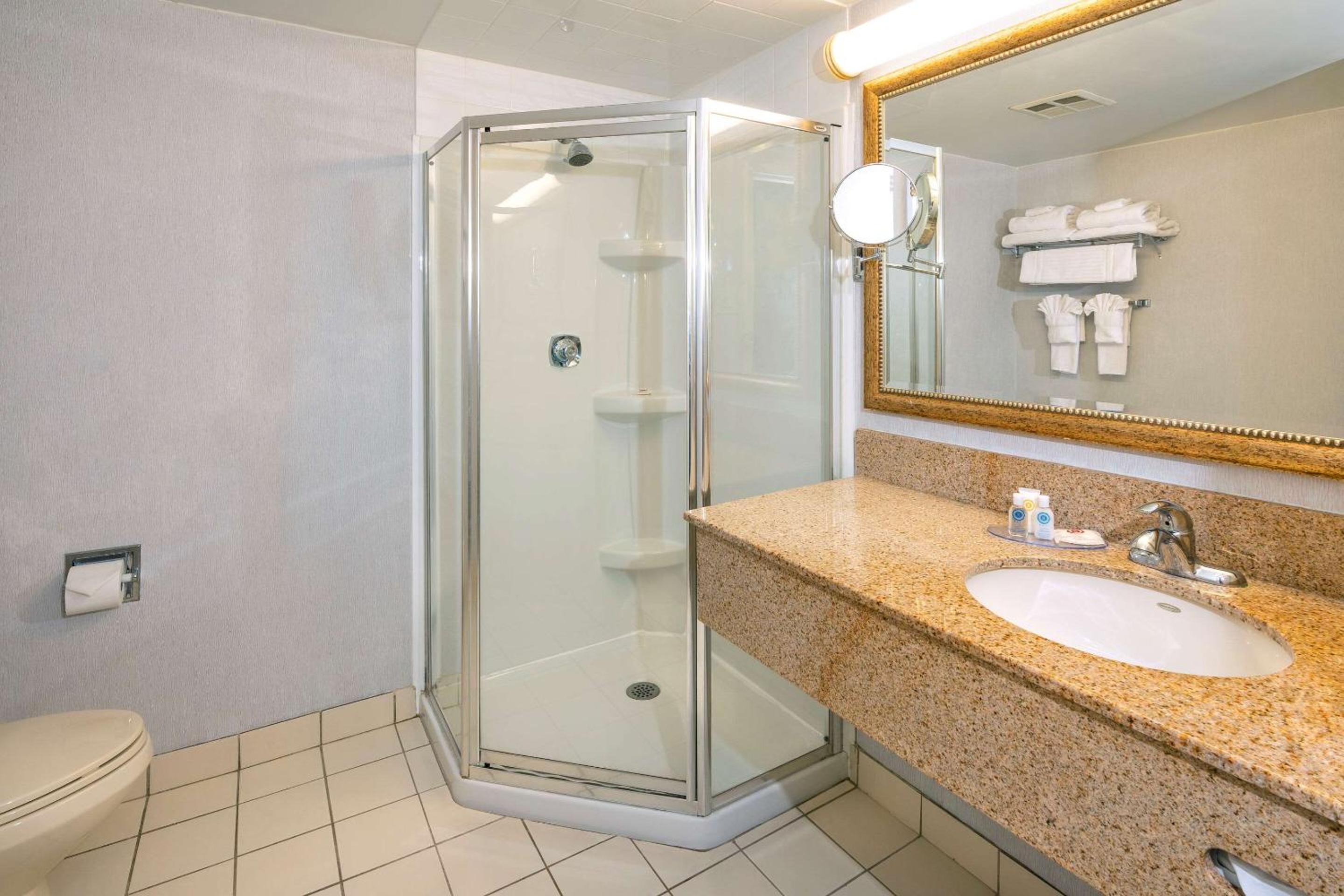 Peterborough Vacations - Comfort Hotel  Suites - Property Image 1