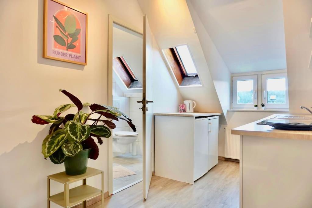 NEU I moderne zentrale Wohnung I Netflix I 4 Gäste