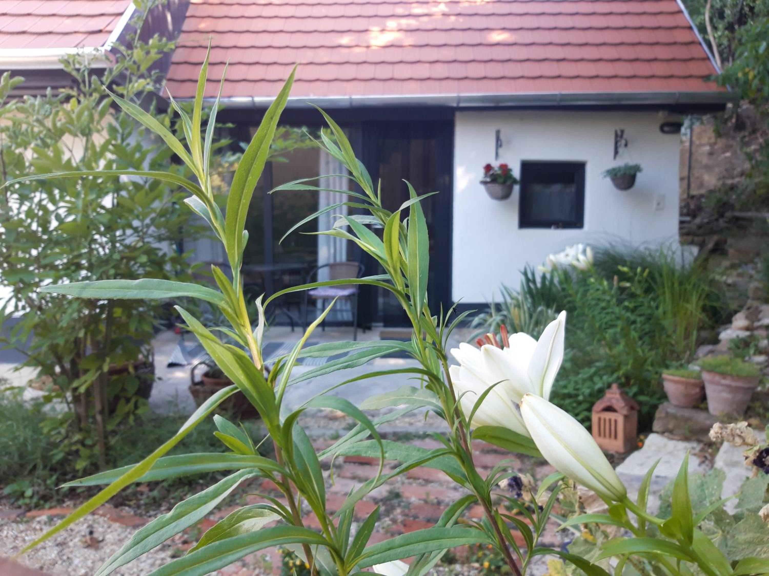 Kismadár Vendégház Noszvaj view 2
