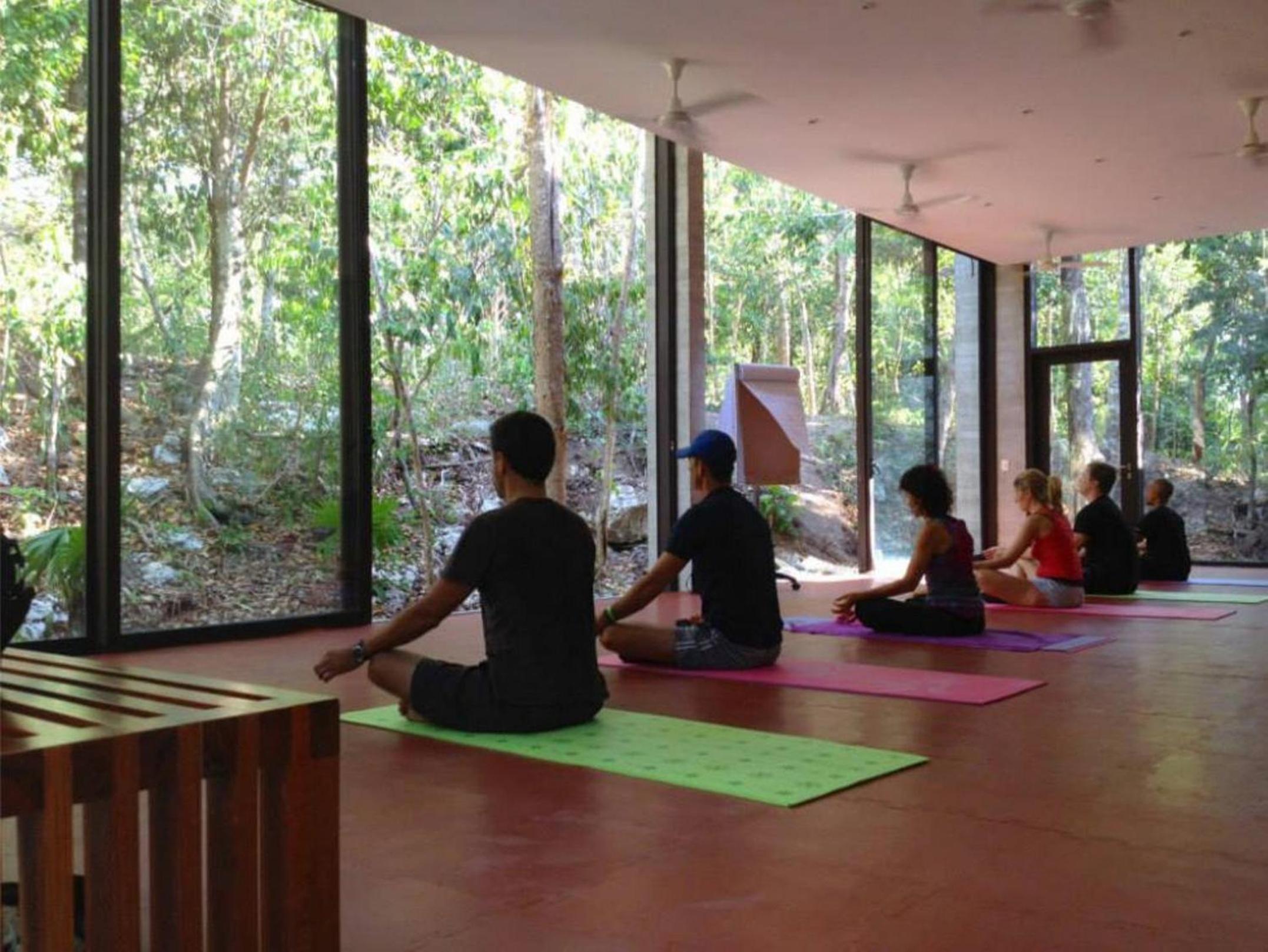 TAO Modern Retreat