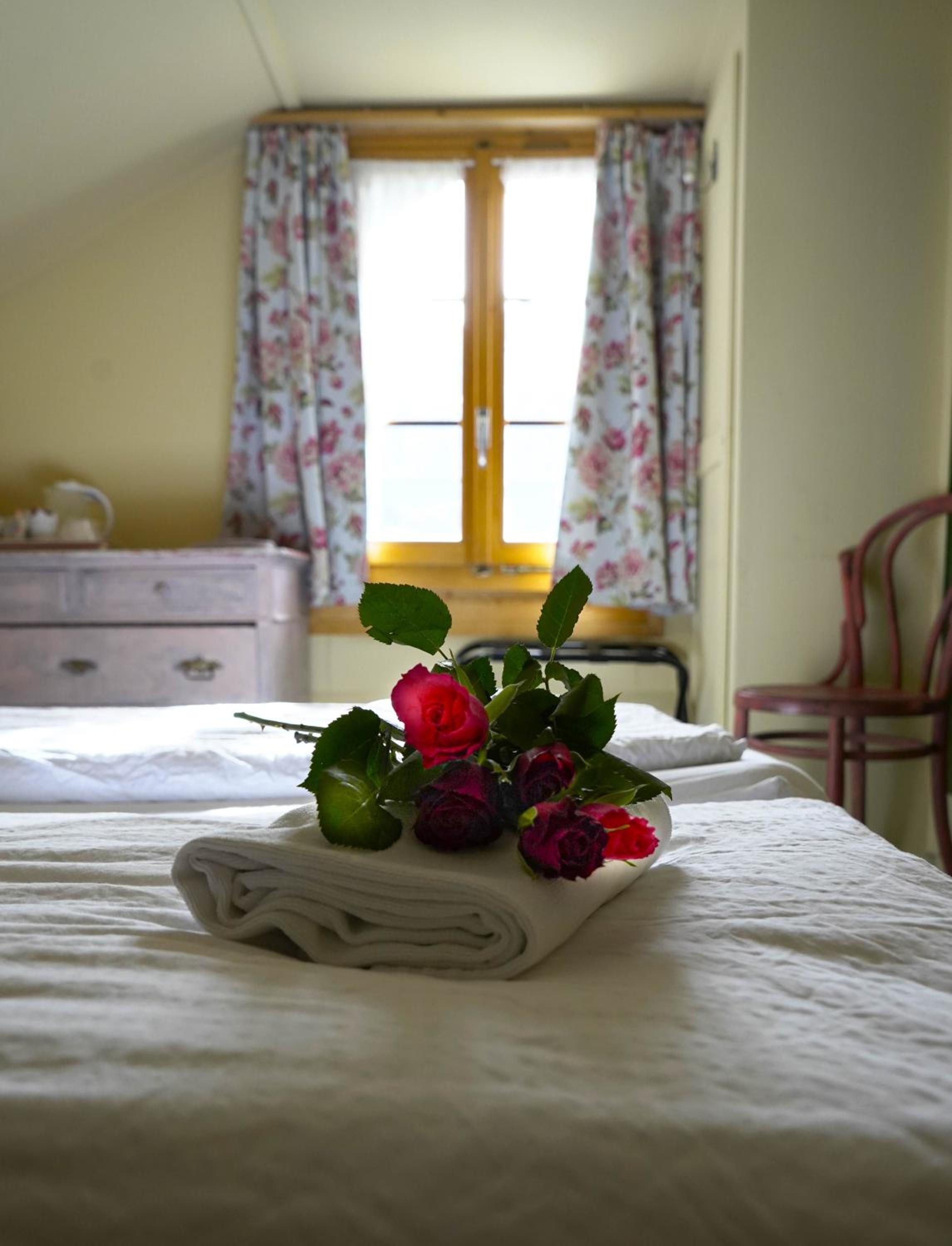 Edelweiss Lodge