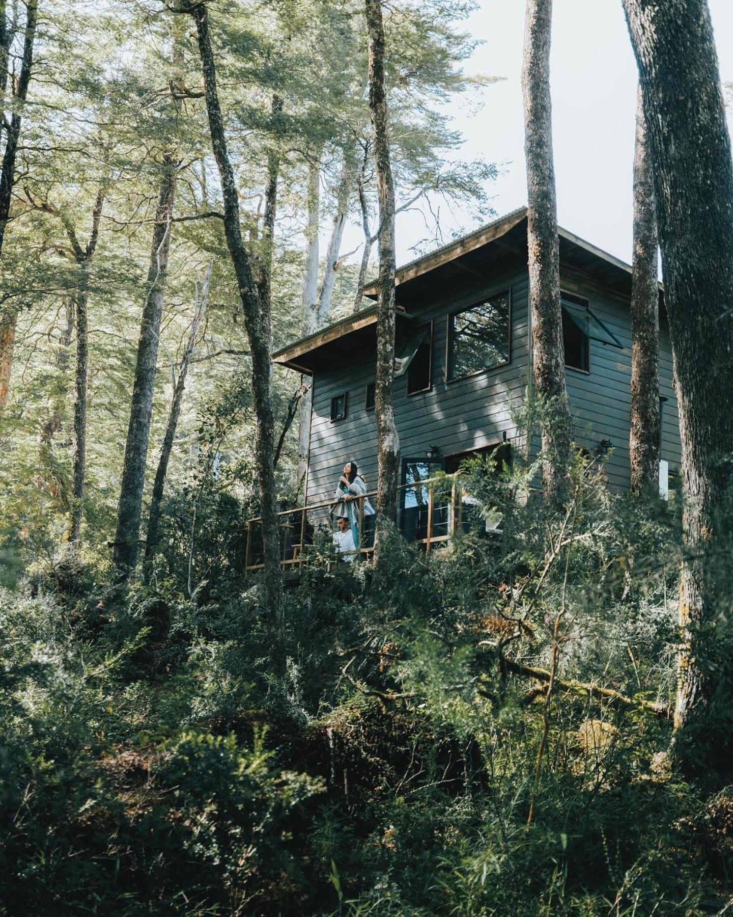 RUKAKUTRAL refugio de bosque