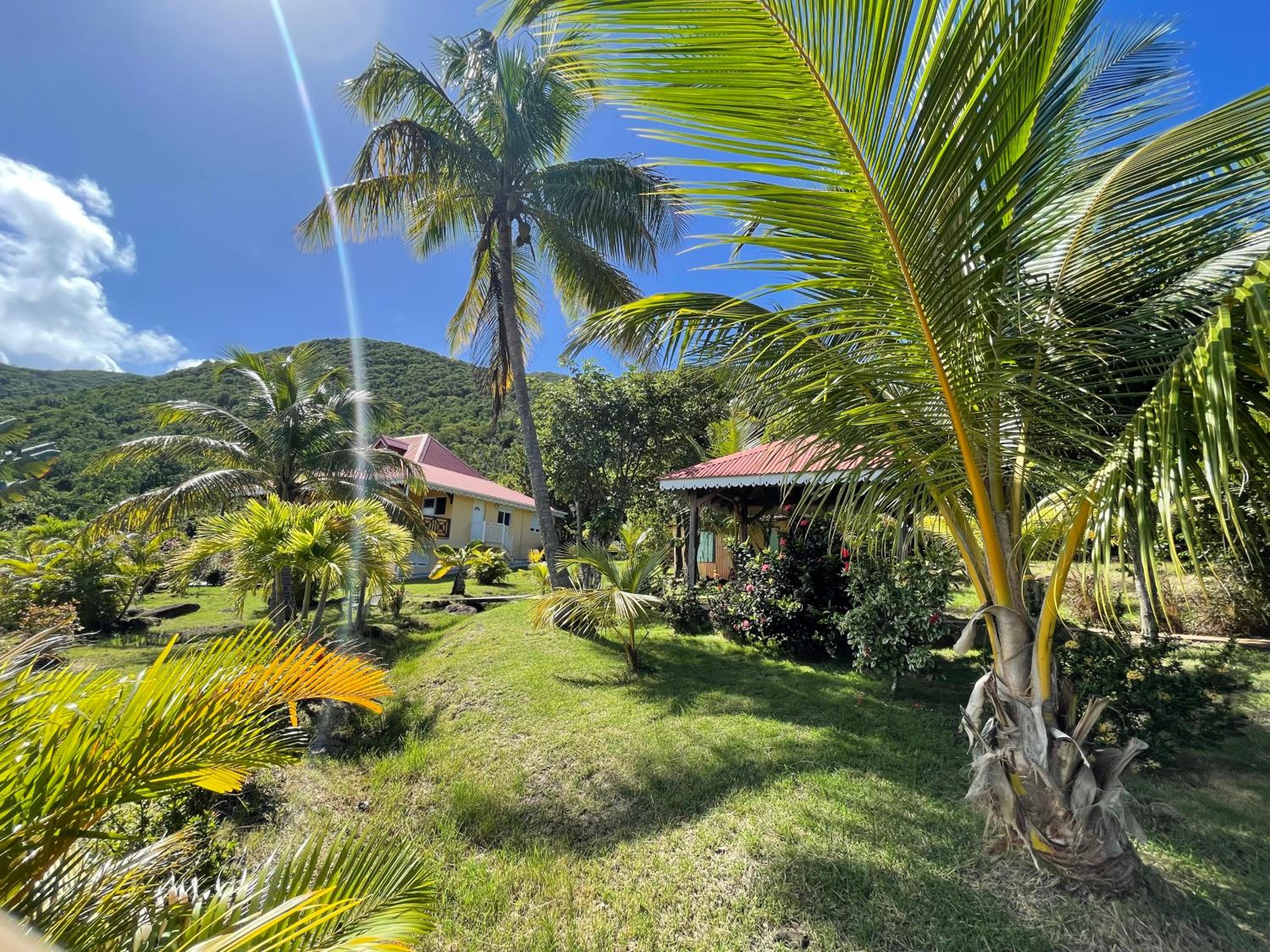 Résidence COCO D'ILES, Gite TI BAMBOU view 5