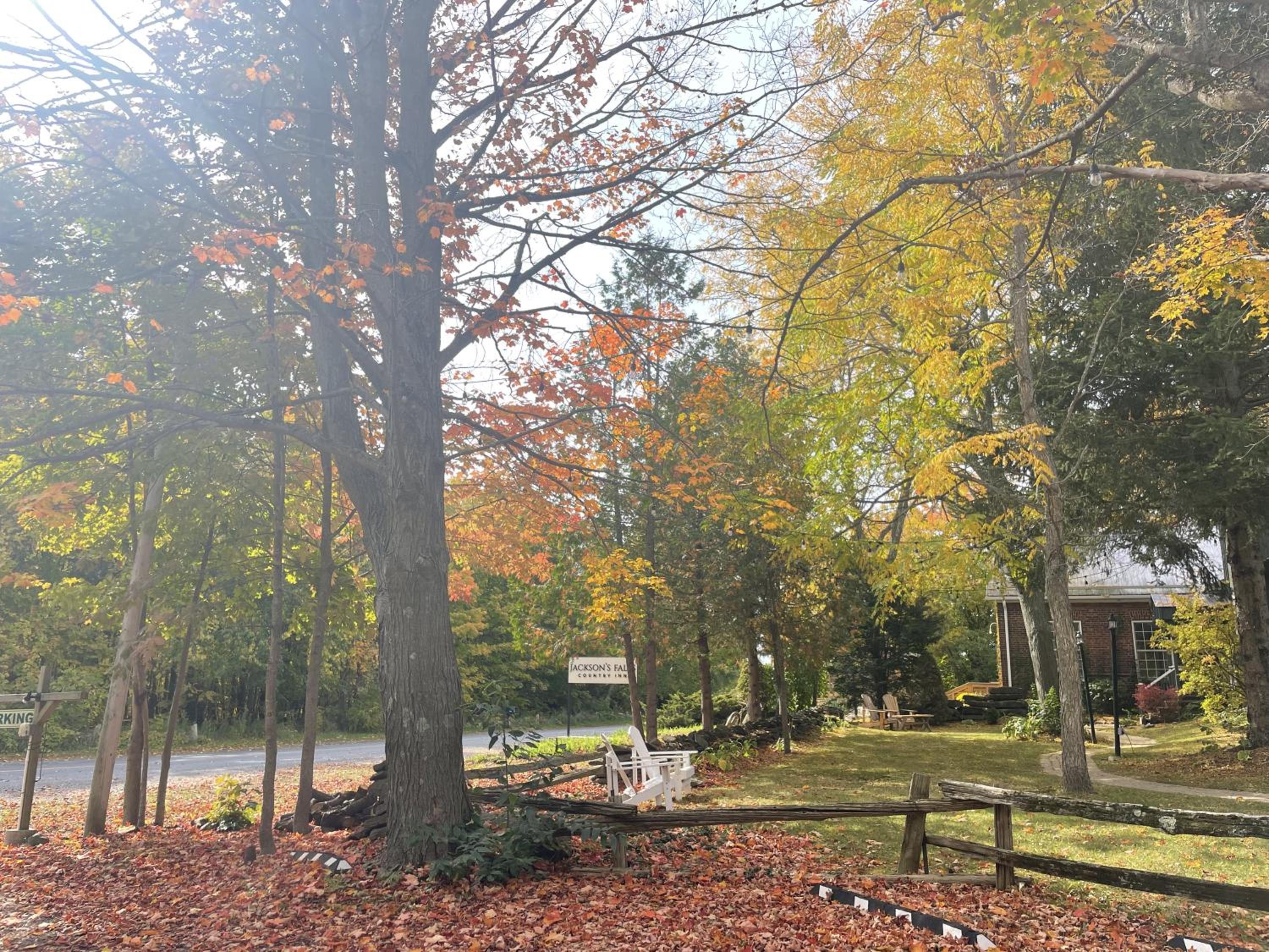 Jackson's Falls Country Inn view 2
