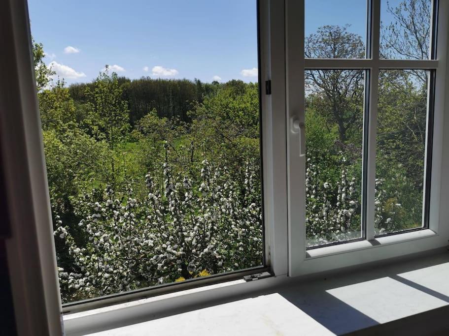 Ostseeblick im Andersenhof