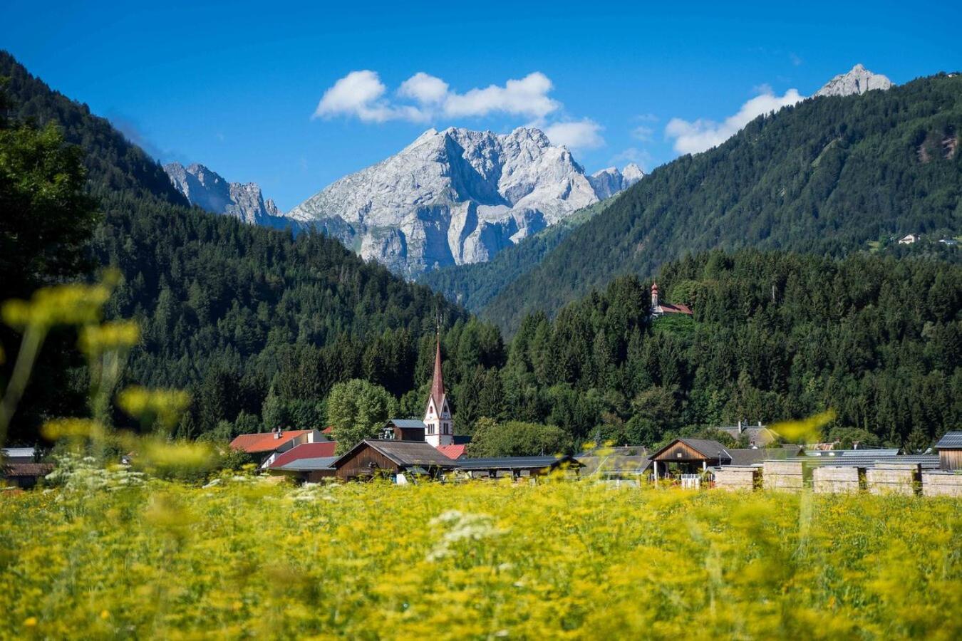 Luxury Chalet Mauthner Alm