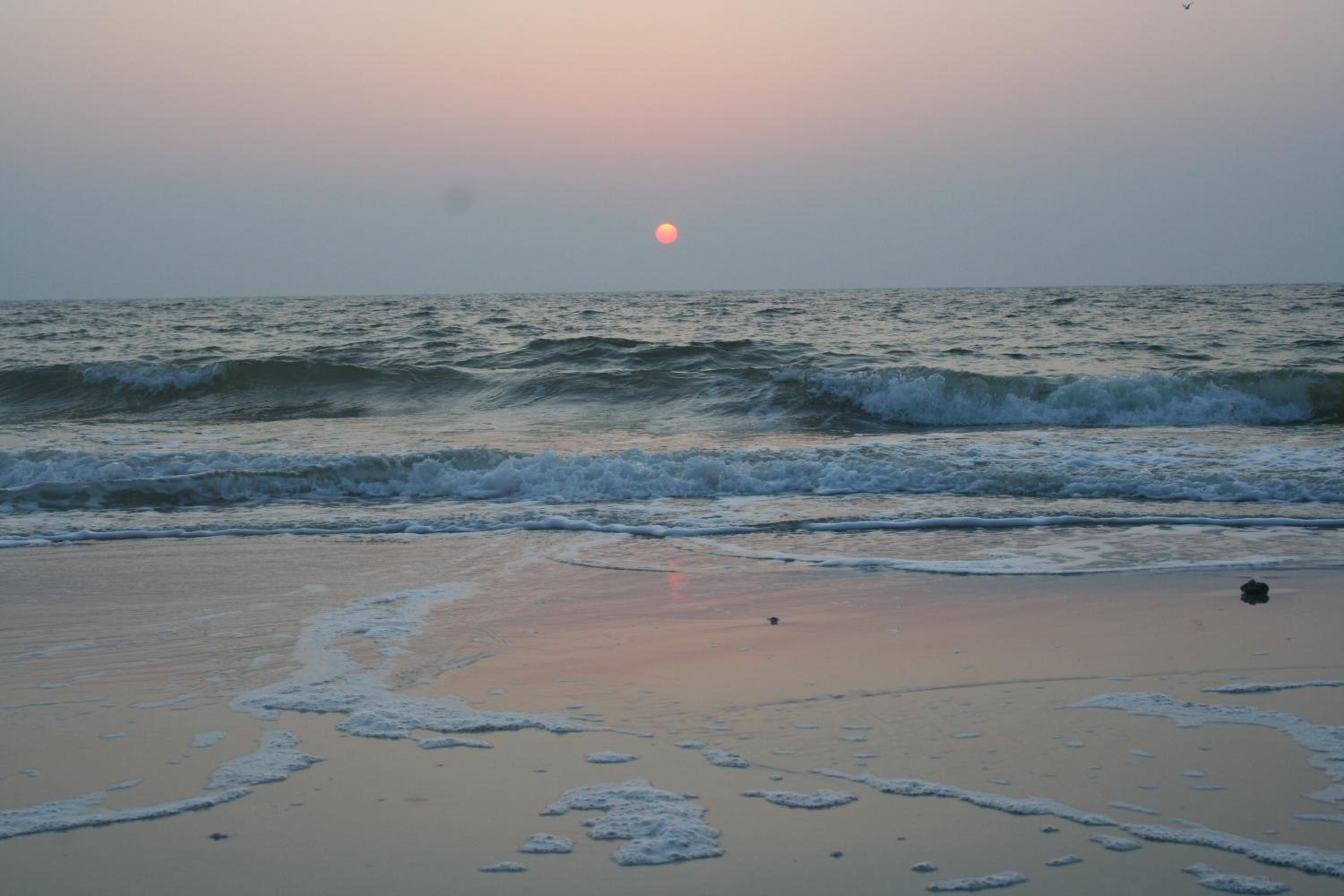 Ostsee Ferienhäuser