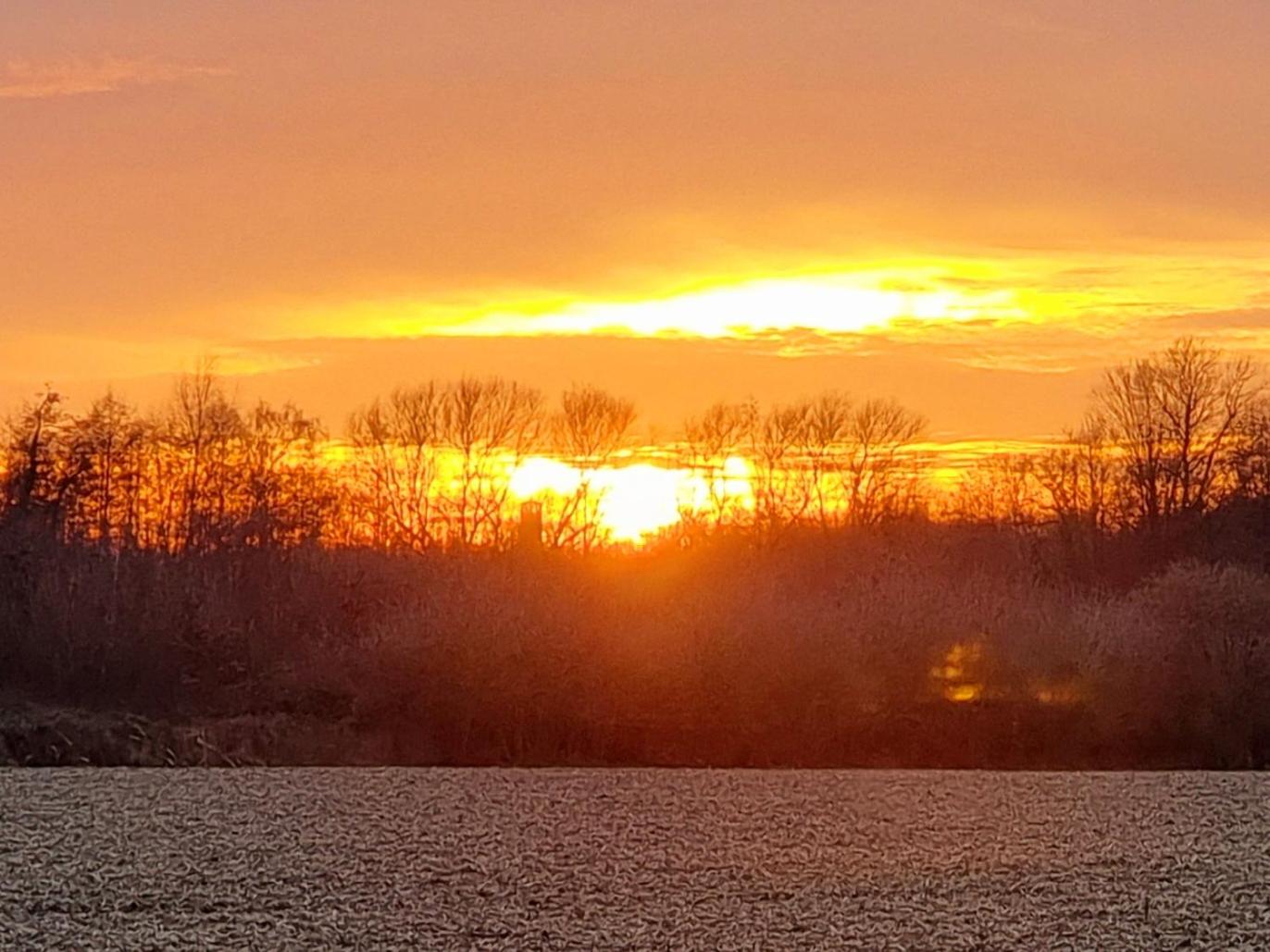 THUERS IM BUSCH - Beste Stube - ab 3 Nächte - Ferienwohnungen mit Stil in Münster, photo 7