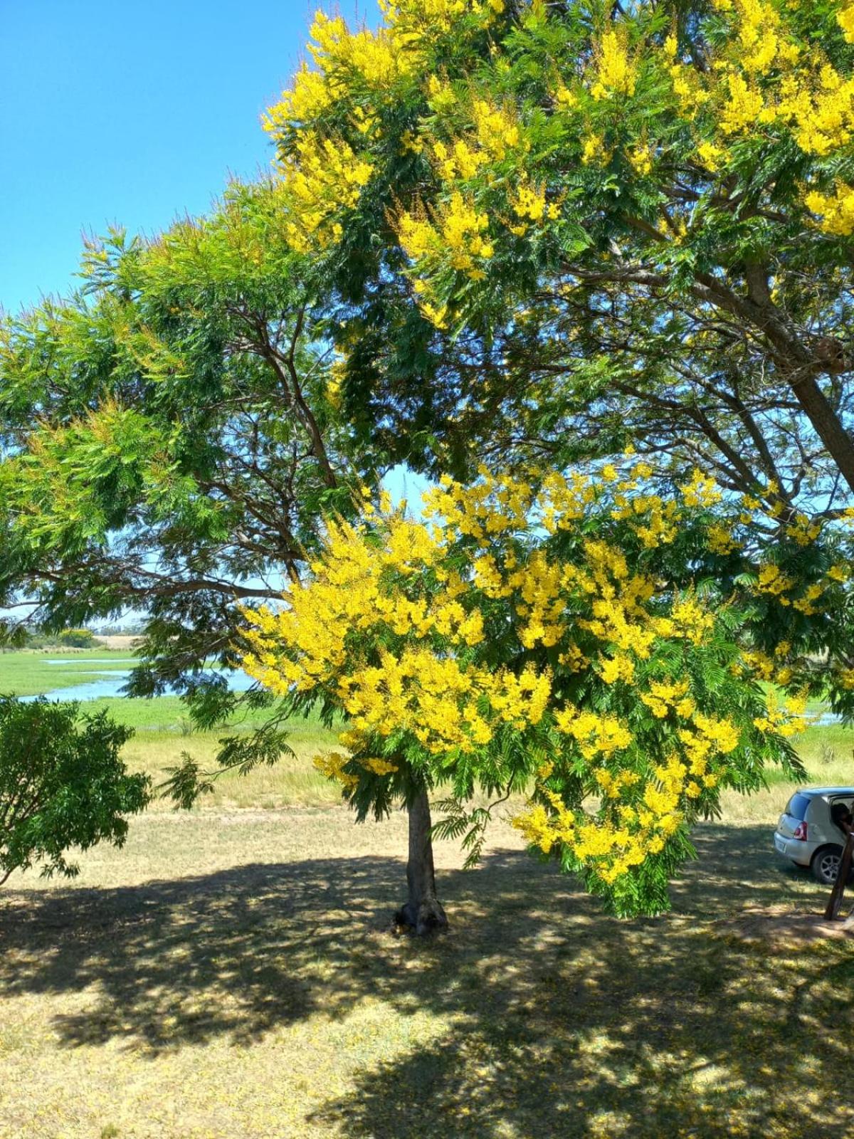 Cabaña Sol de Otoño