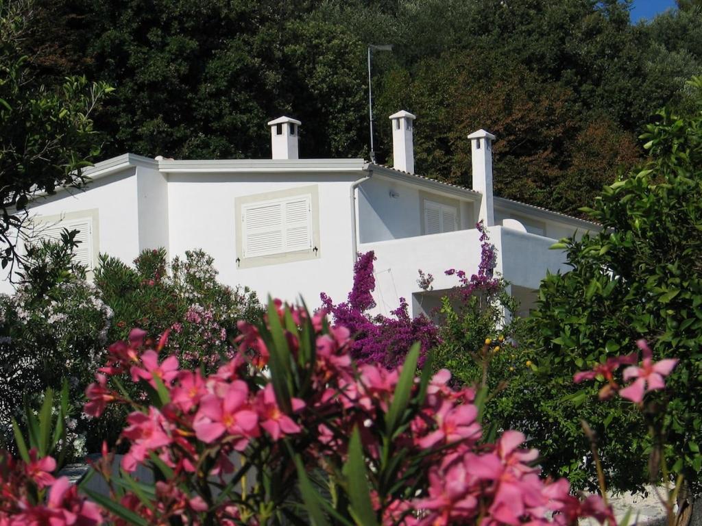 Villa Giulia - Apartment in Villa with sea view