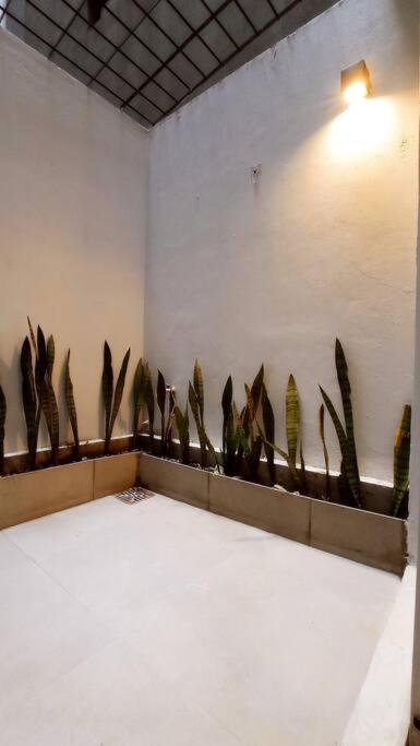 Nb1 apartment free parking con cochera privada