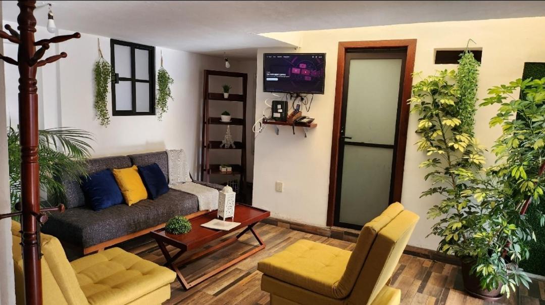 Zacatecas Vacations - depa 5 recien remodelado en planta alta - Property Image 8