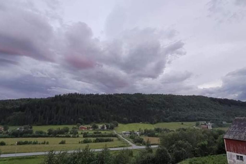 Skogan