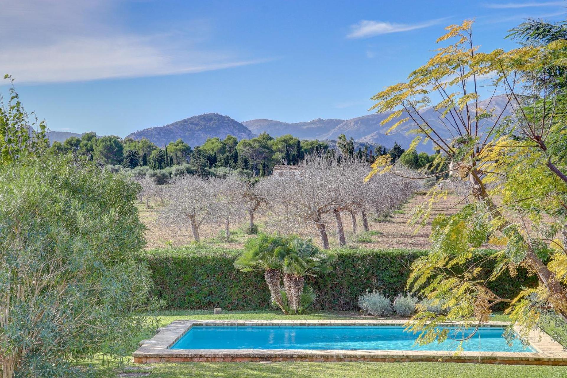U Vila view 5