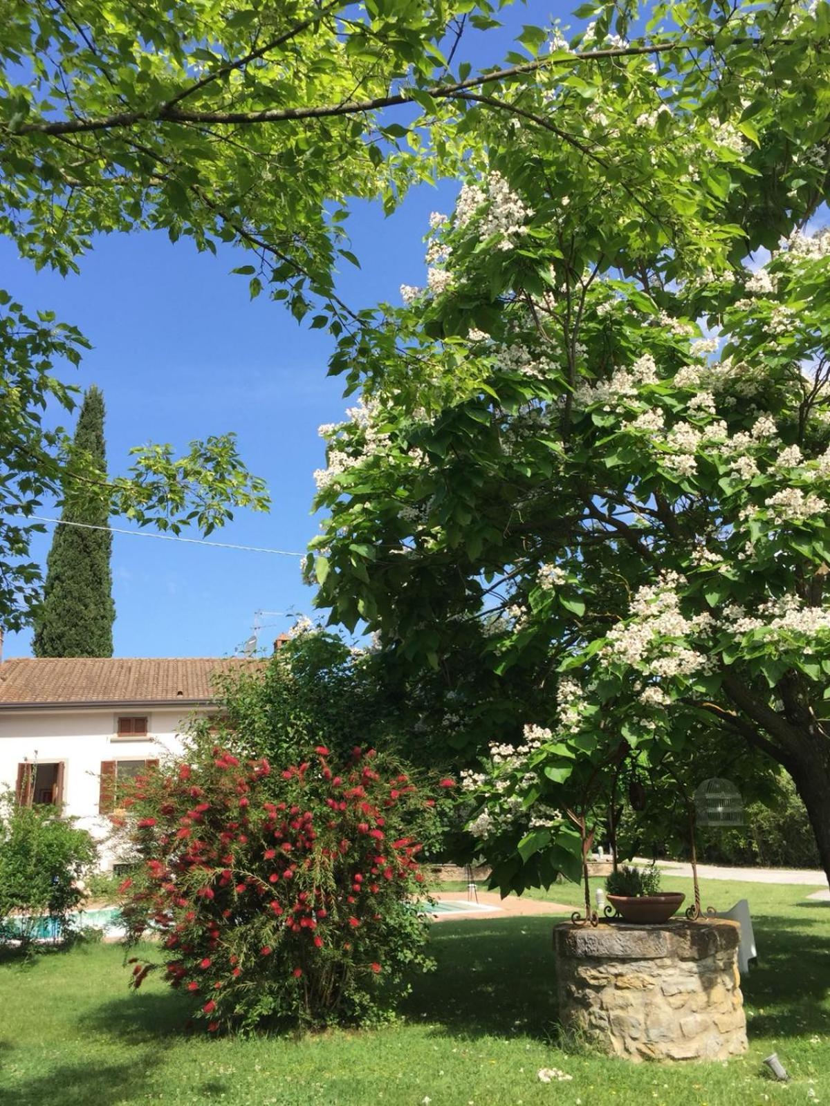 La Taverna Fra Le Colline photo 3