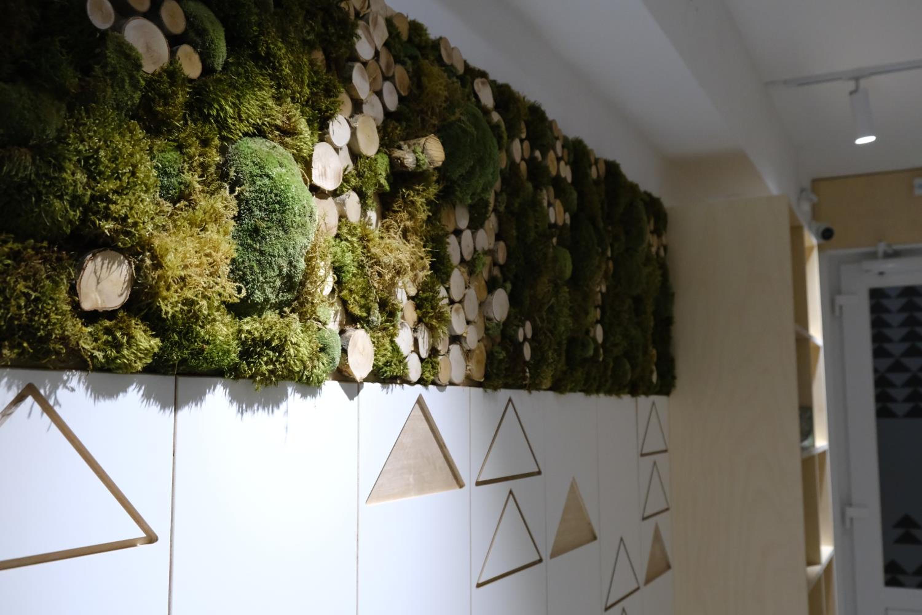 Apartmány u Lesa