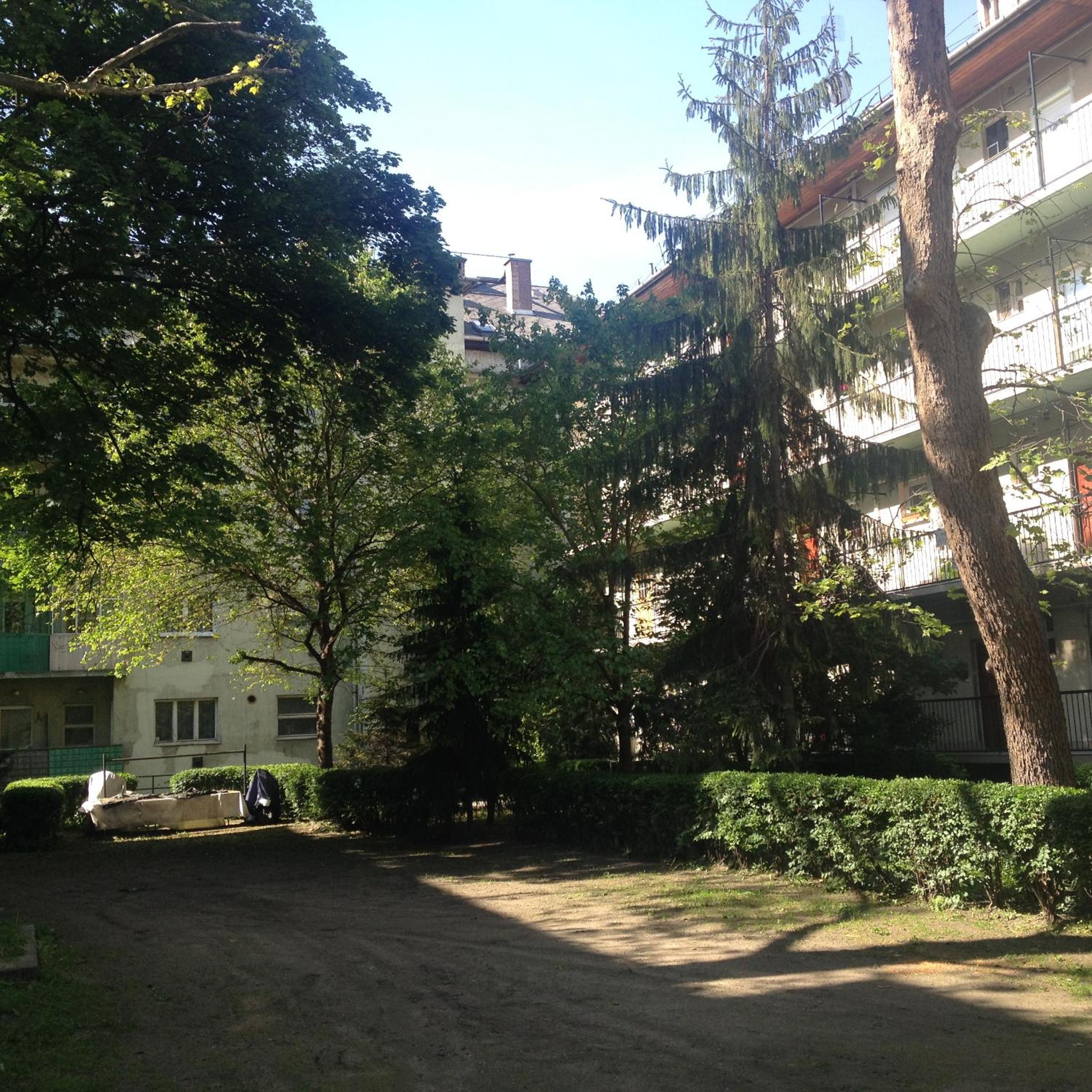Photo 36