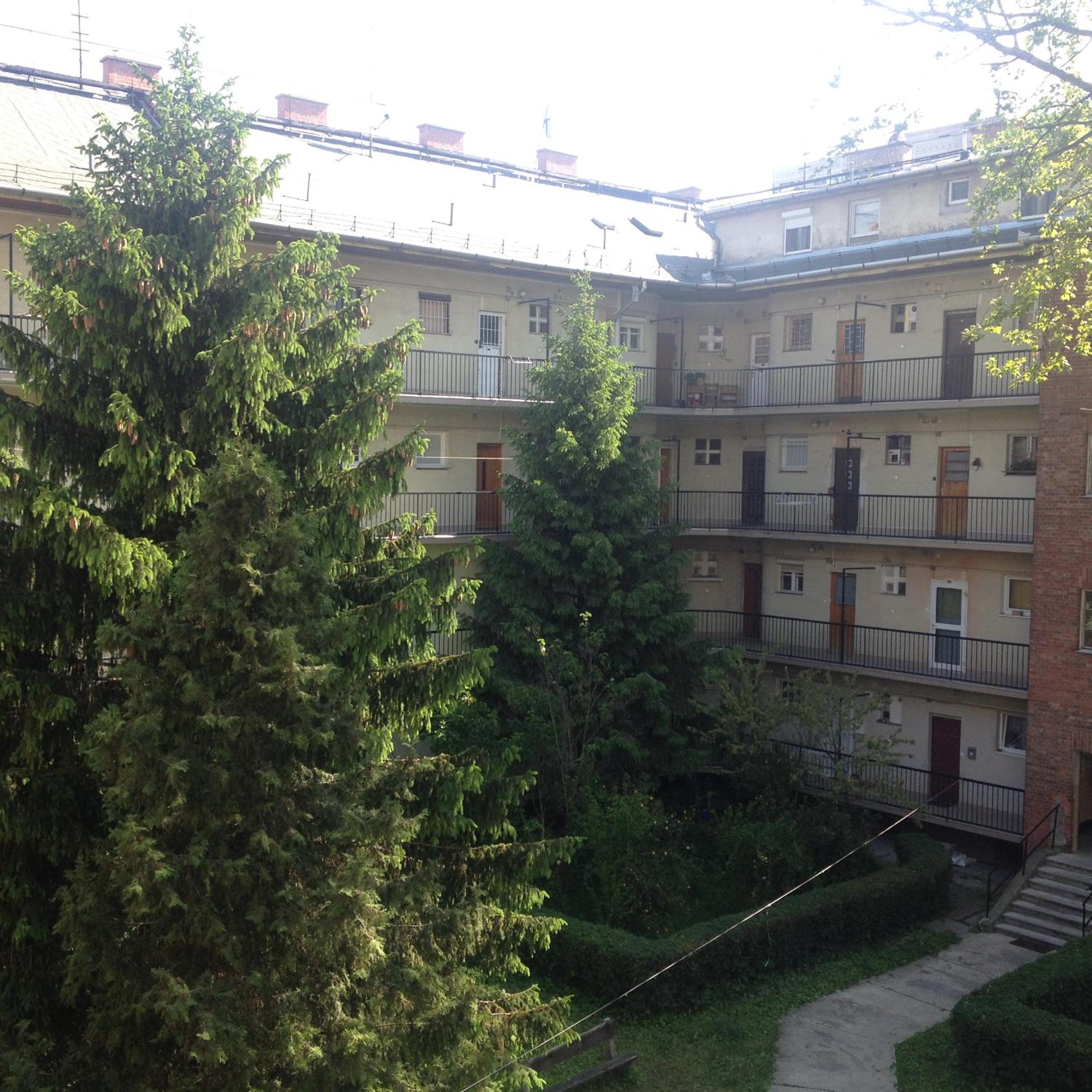 Photo 40