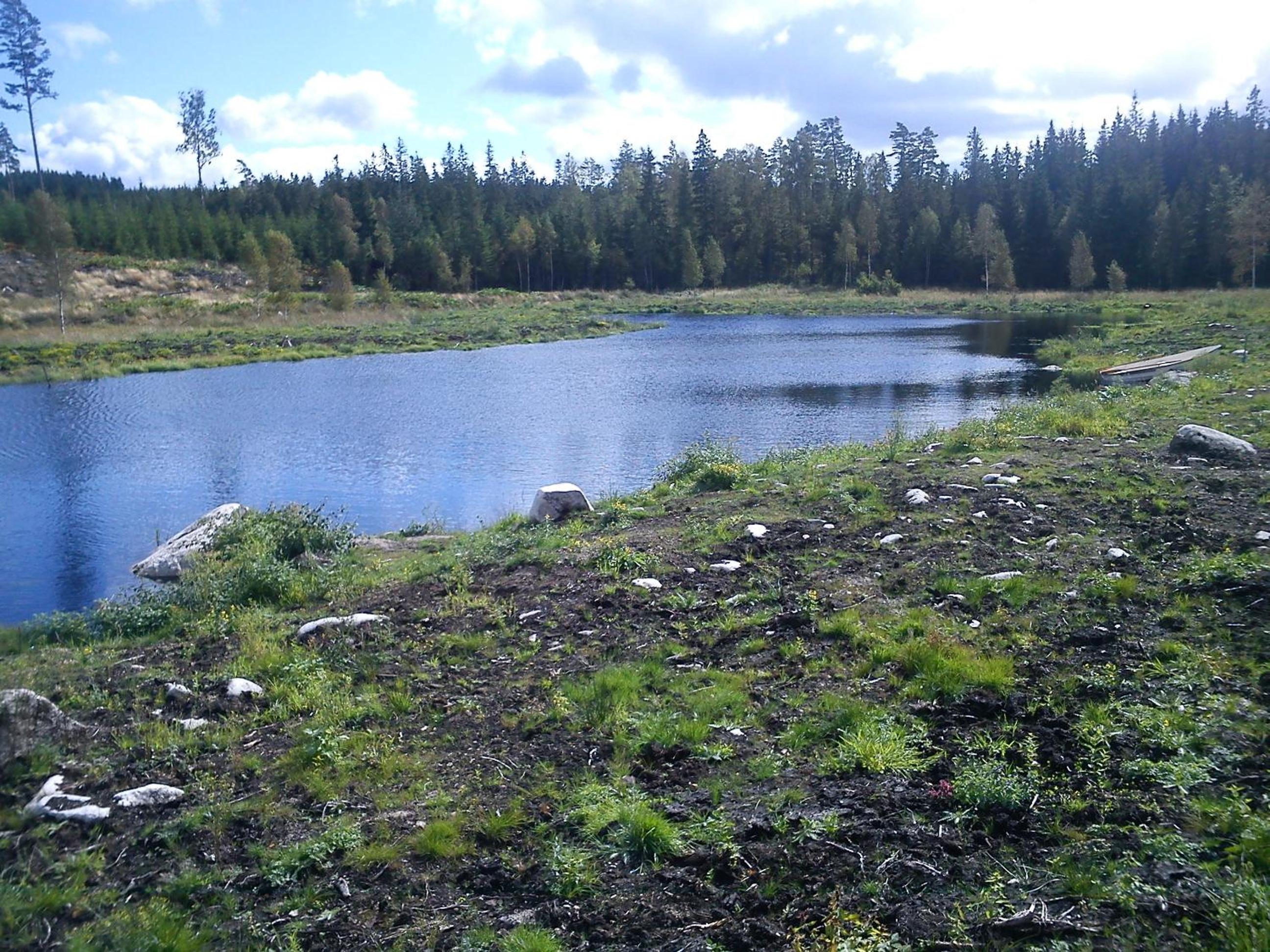 Photo 14