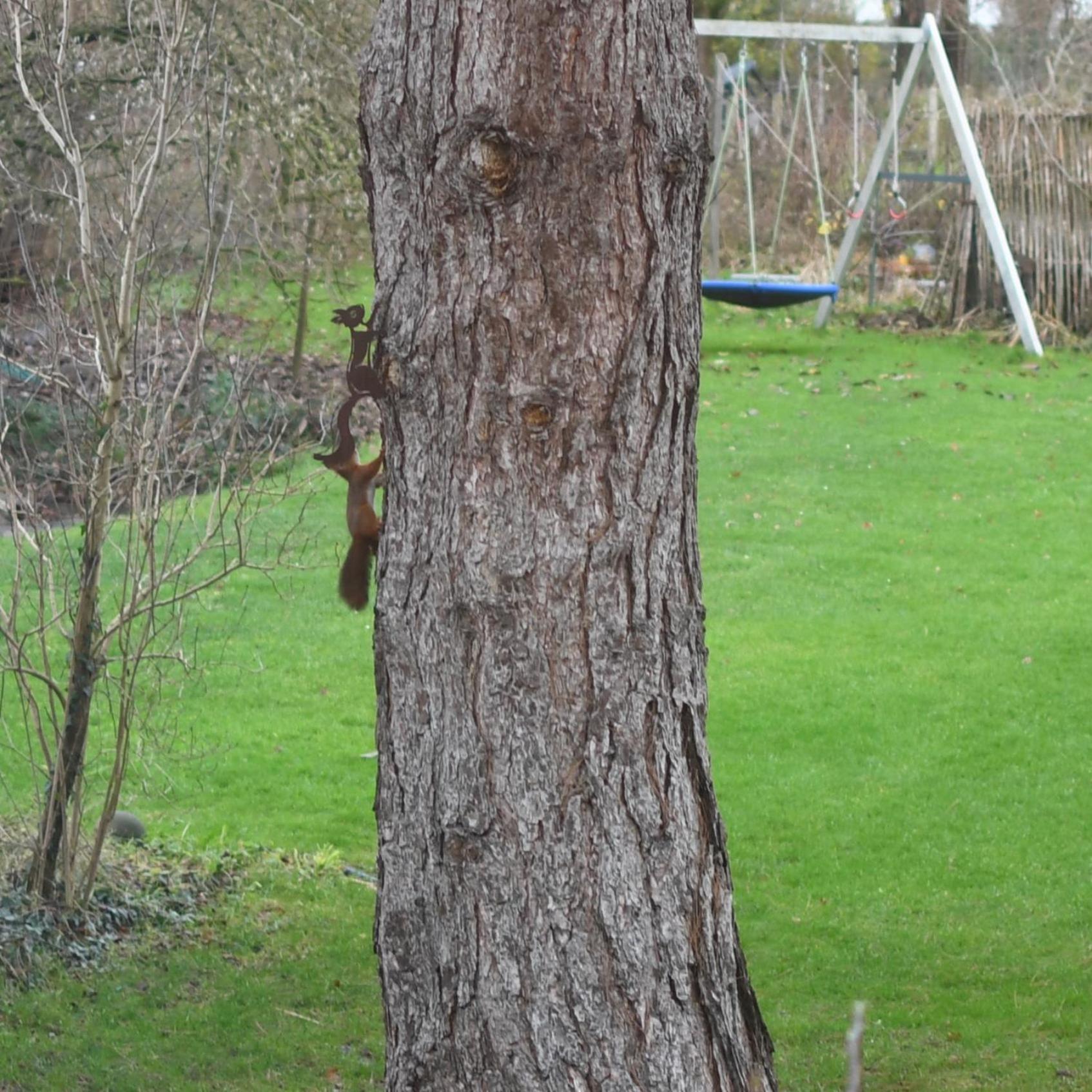 Au four et au jardin
