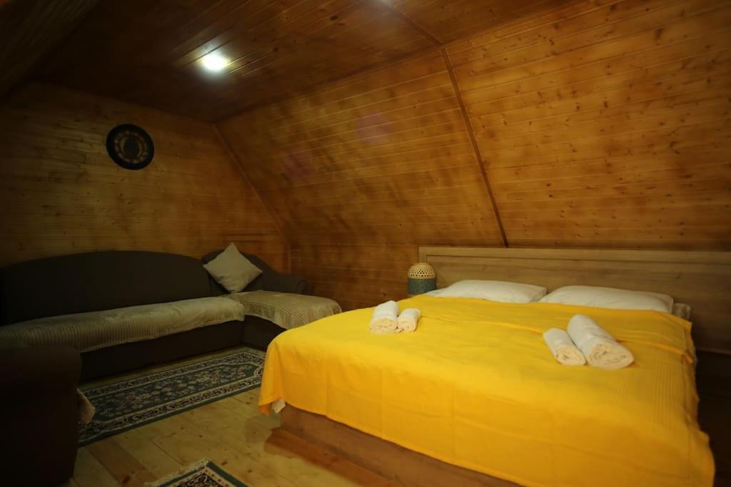 Sunshine House