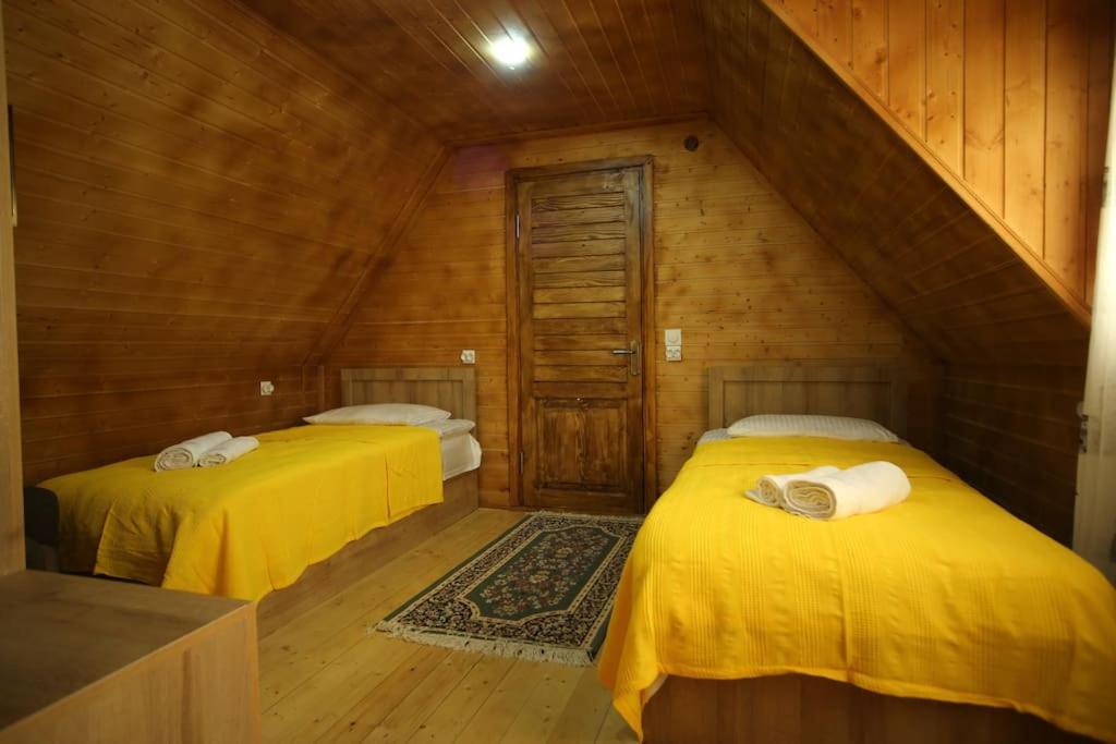 Sunshine House