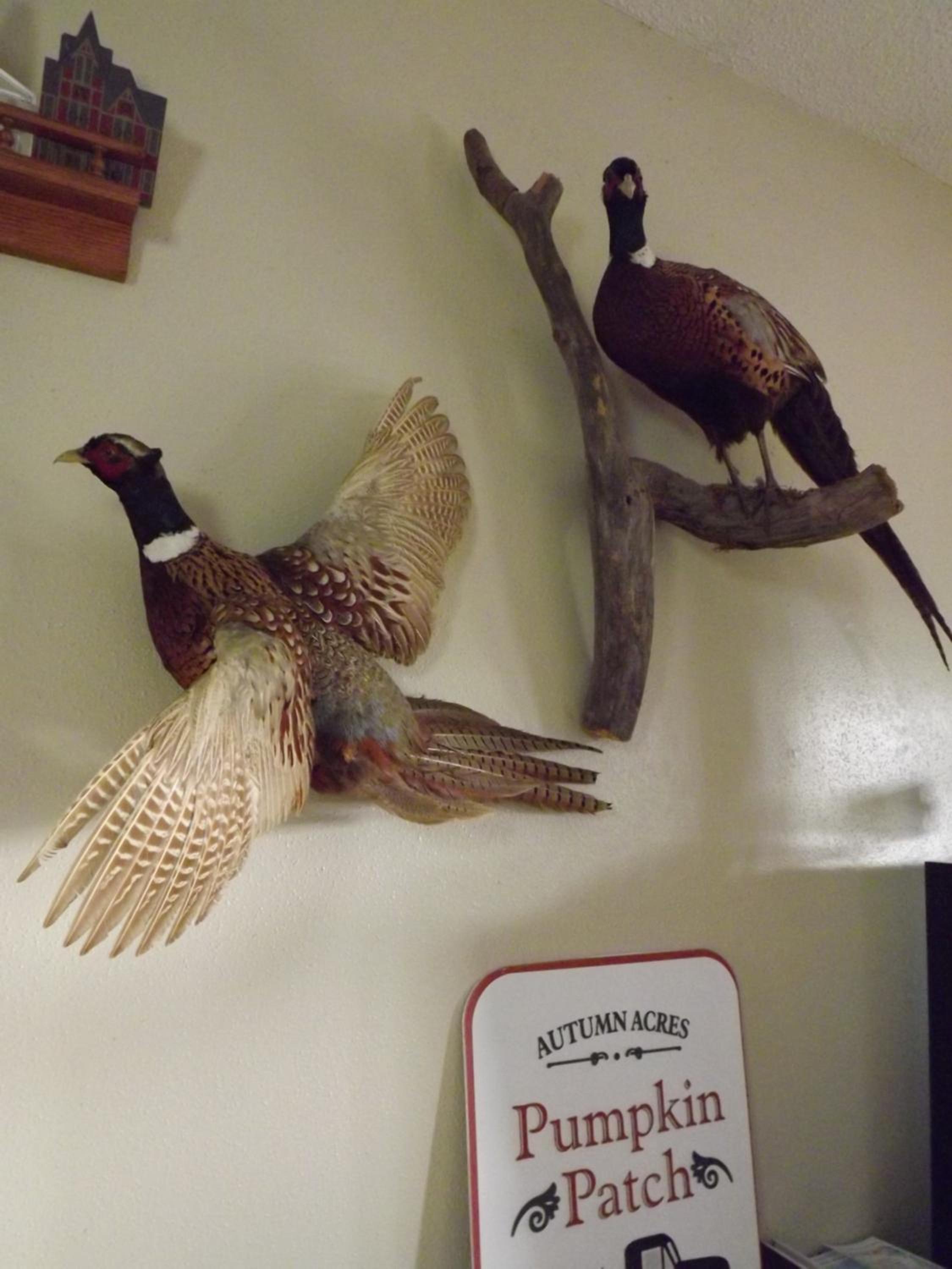 Crest Country Inn