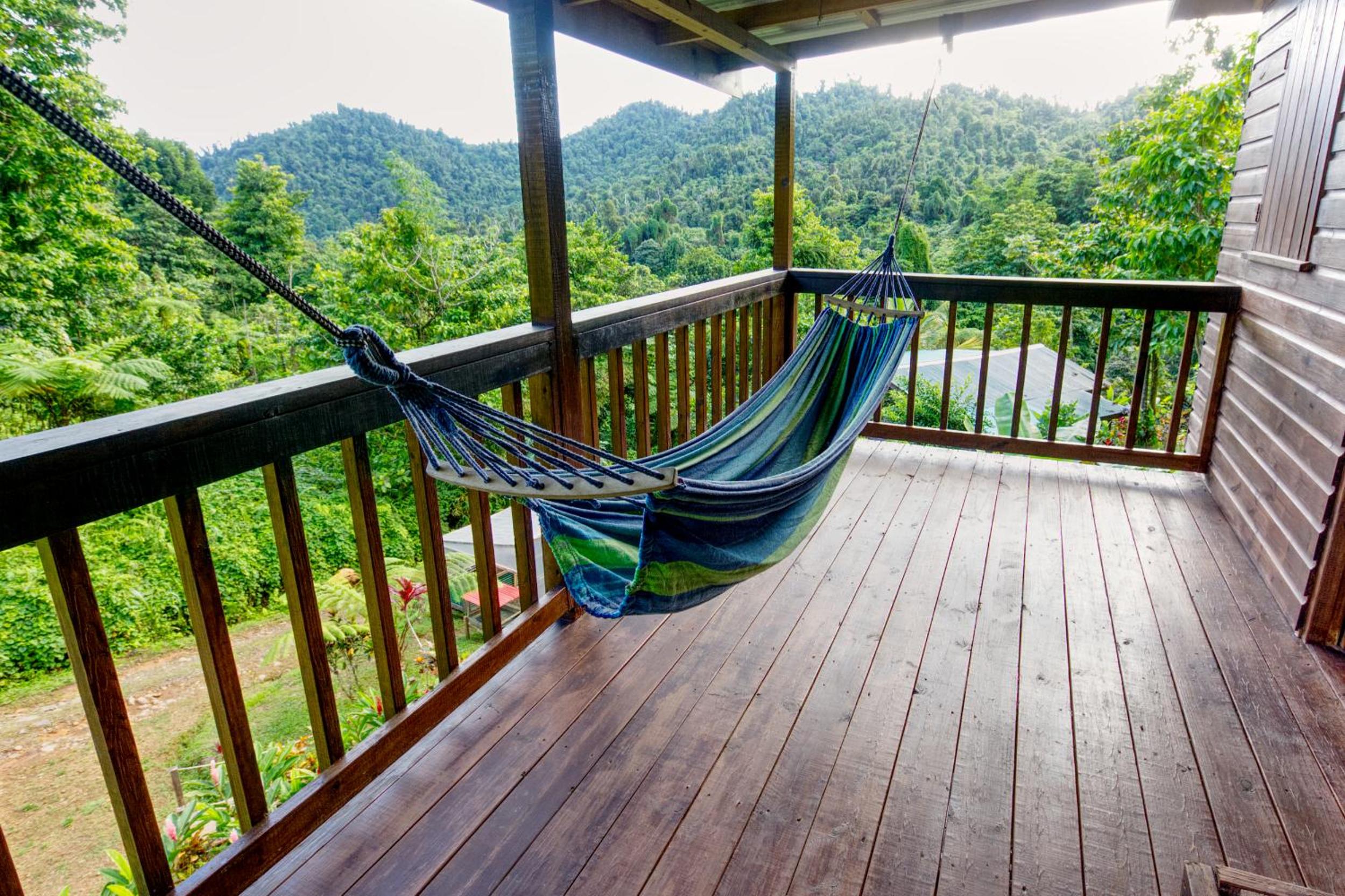 Roots Jungle Retreat