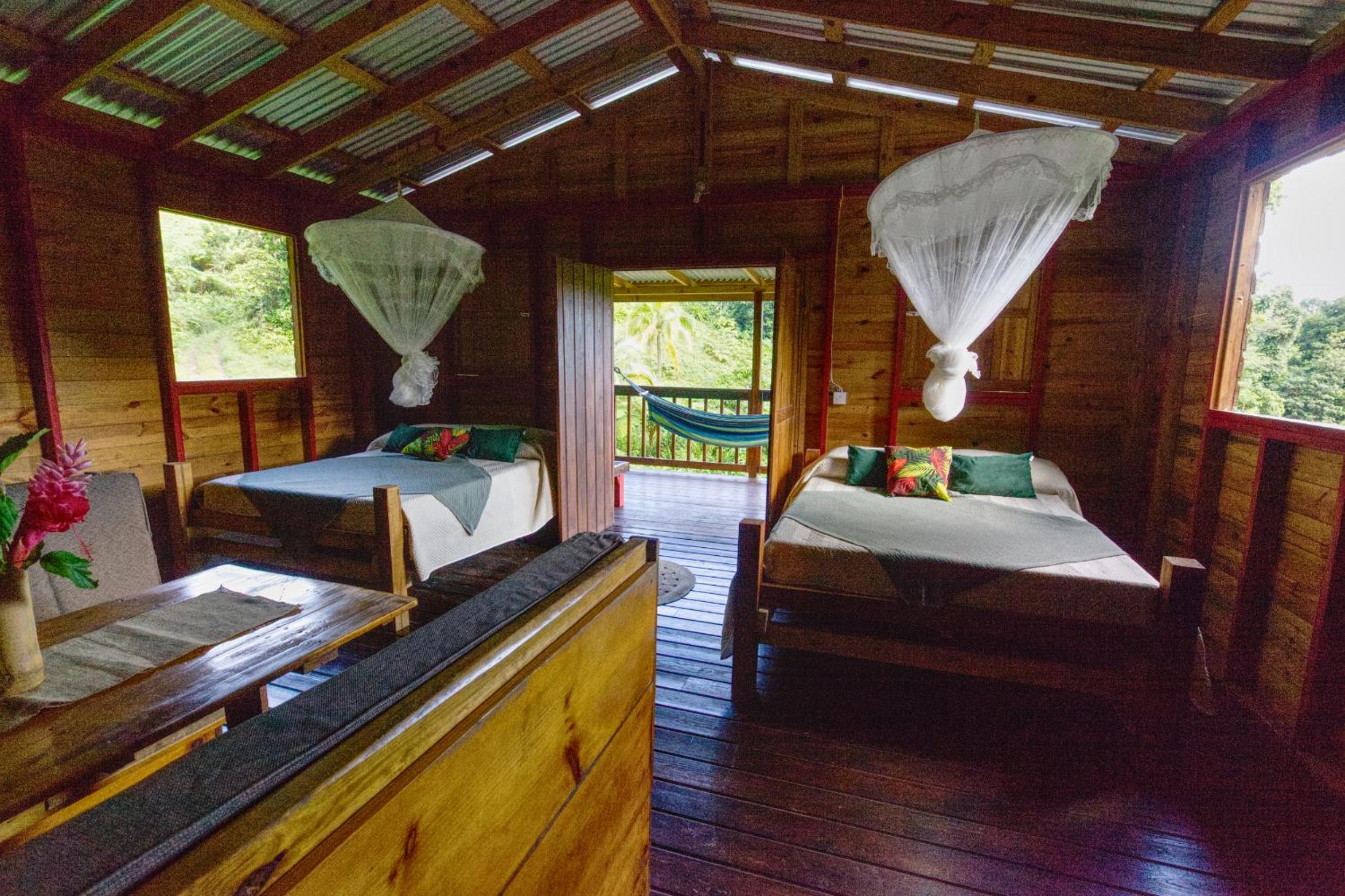 Roots Jungle Retreat