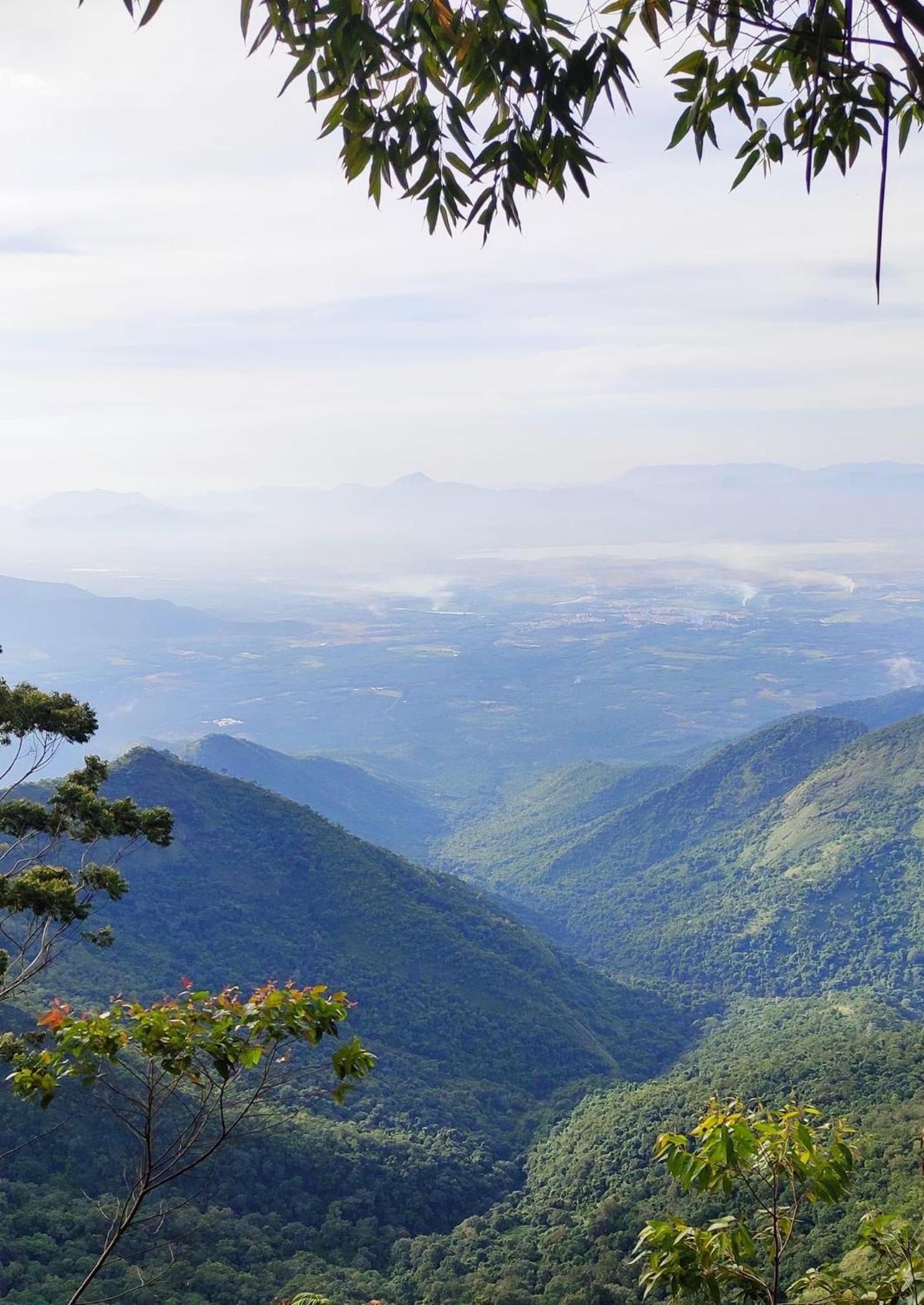 Kodai Countryside Homestay view 2