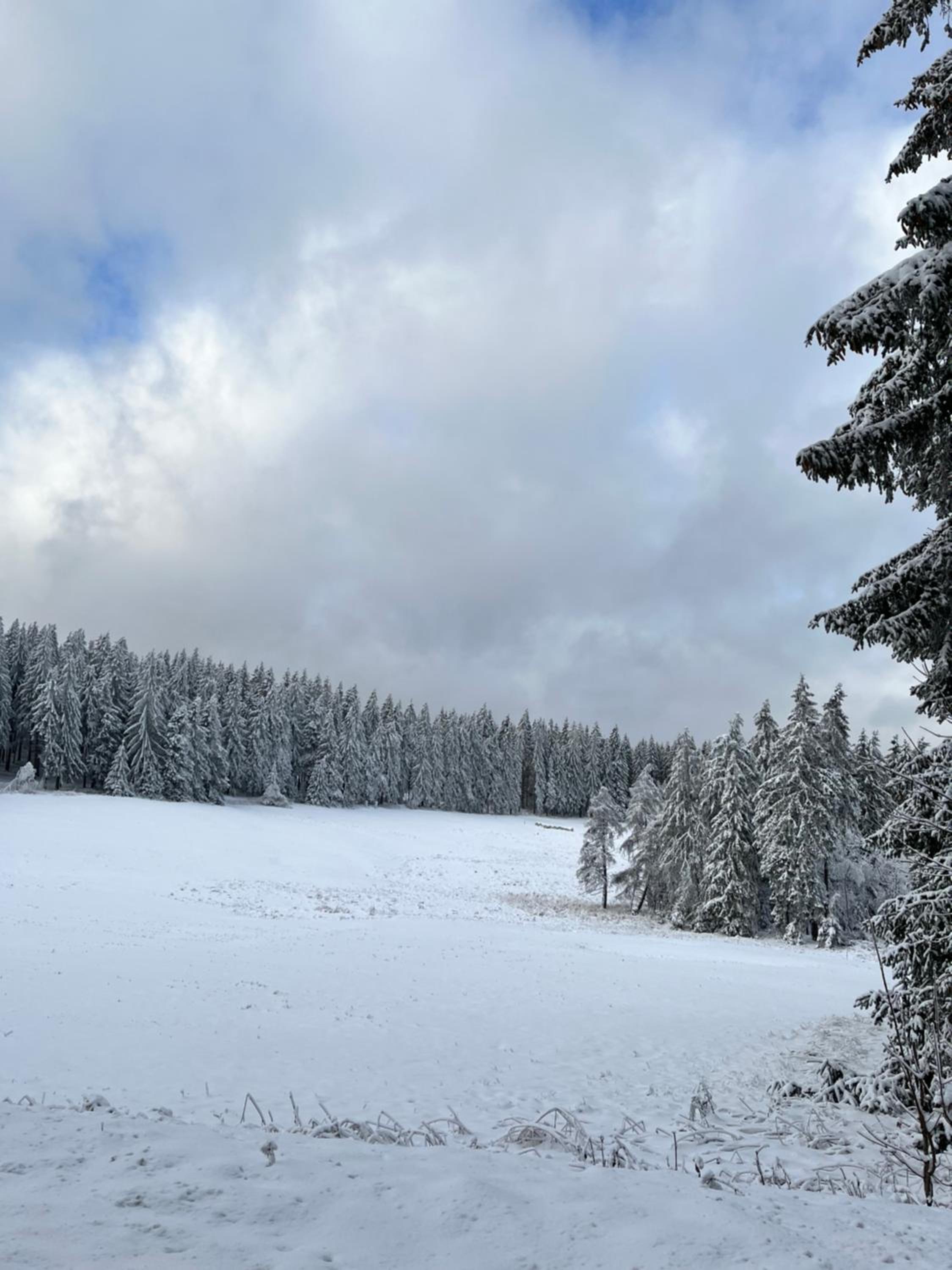 Gasthof & Pension 